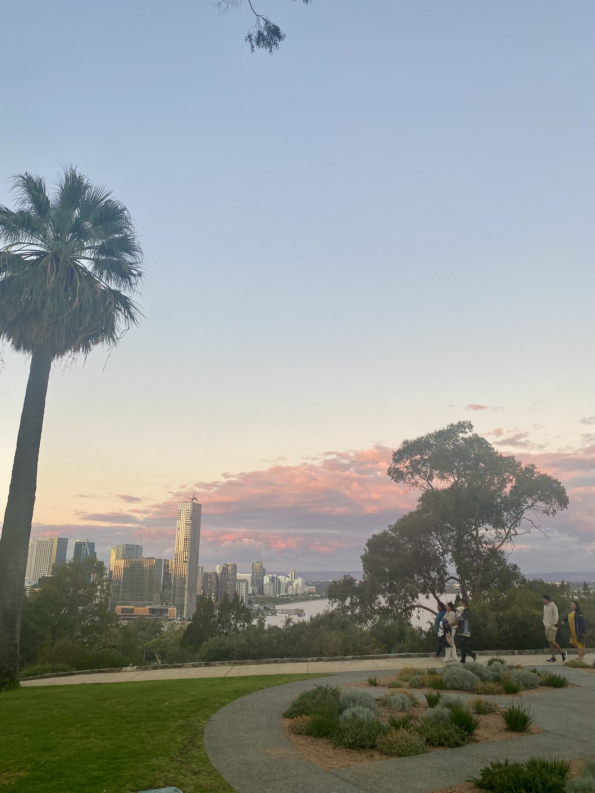 the view from king's park