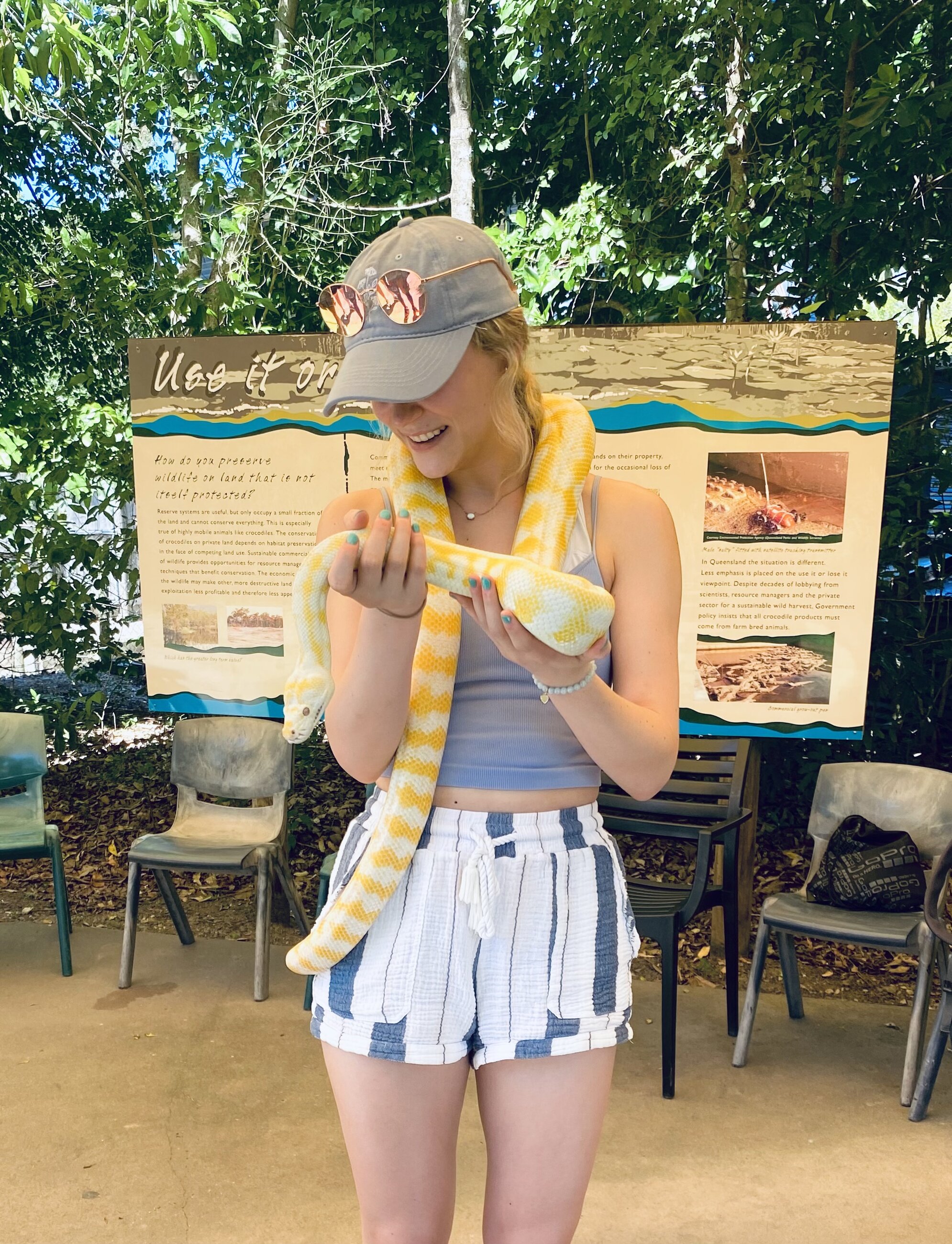 orientation at the crocodile farm