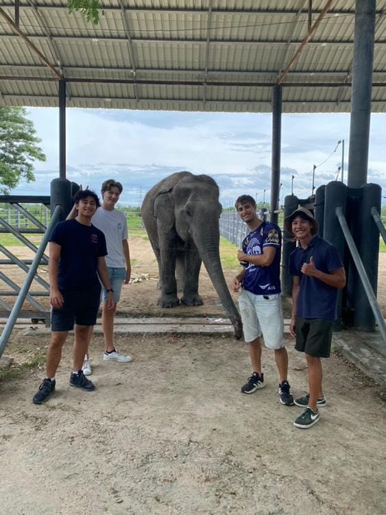 Wildlife Friends Foundation Thailand