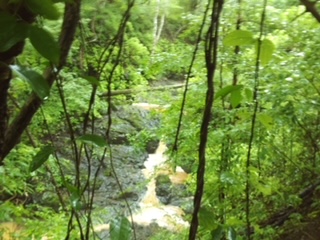 Waterfall During Community Service Hike