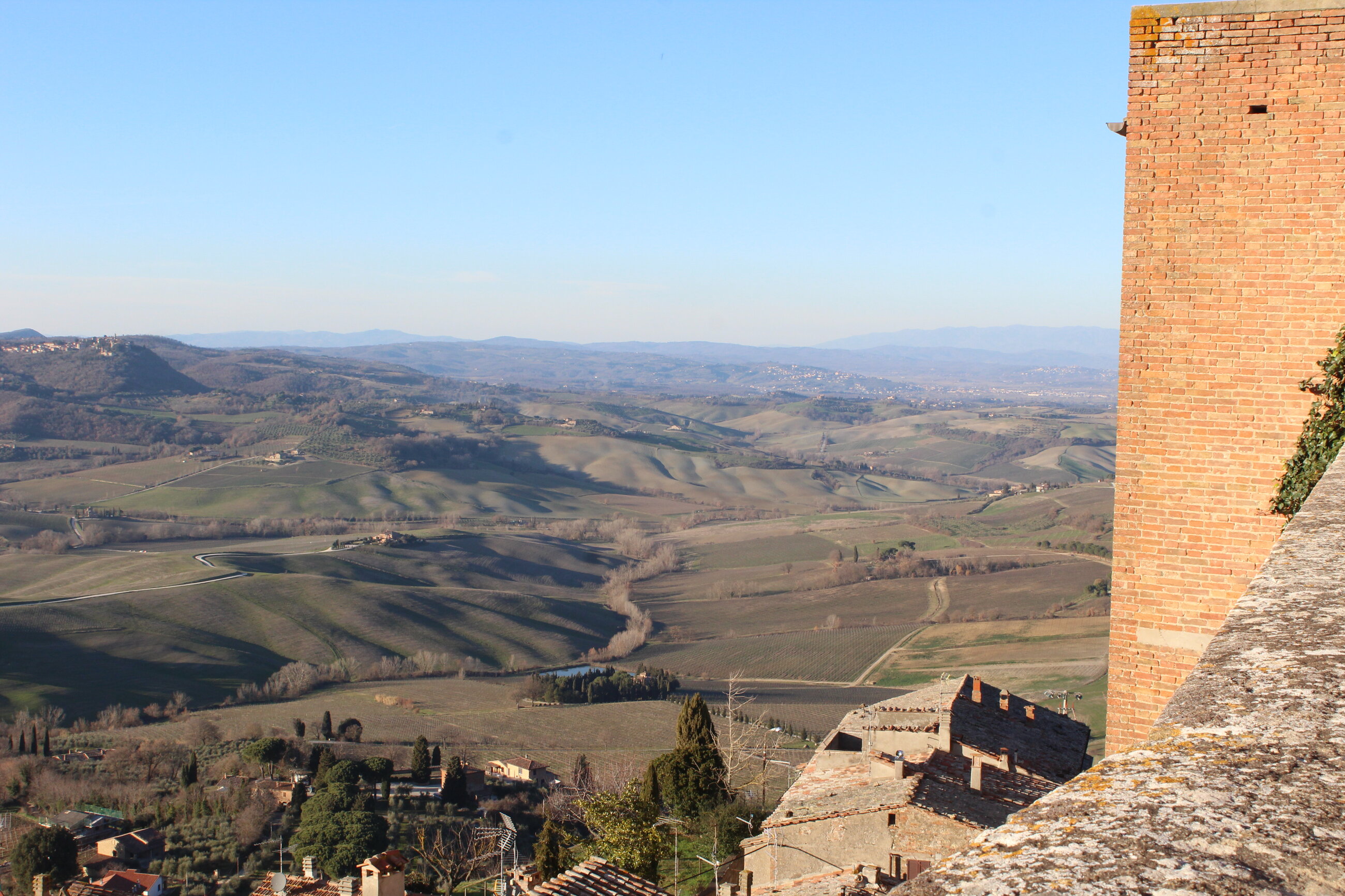 Beautiful Tuscan Vineyard. (Montepulciano, Italy) 