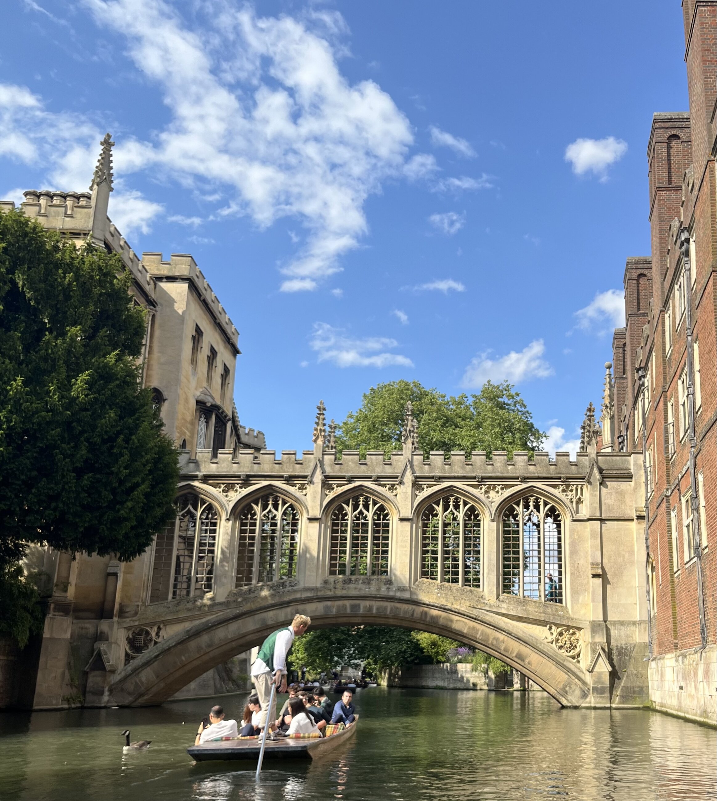 Punting!