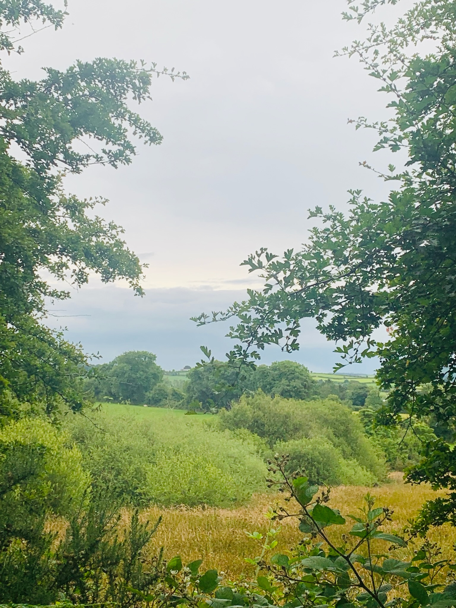 A beautiful Morning