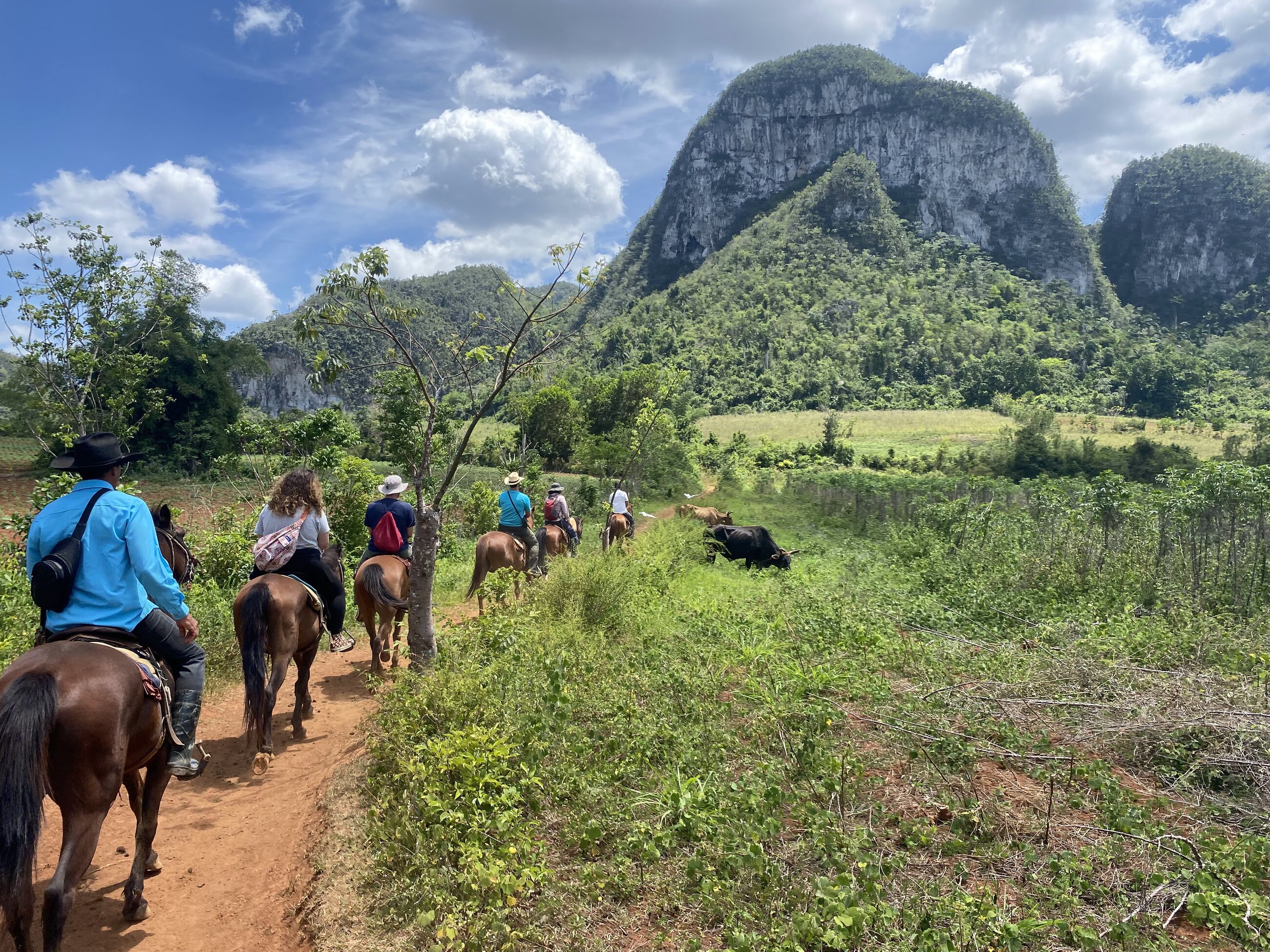 Horseback-riding excursion