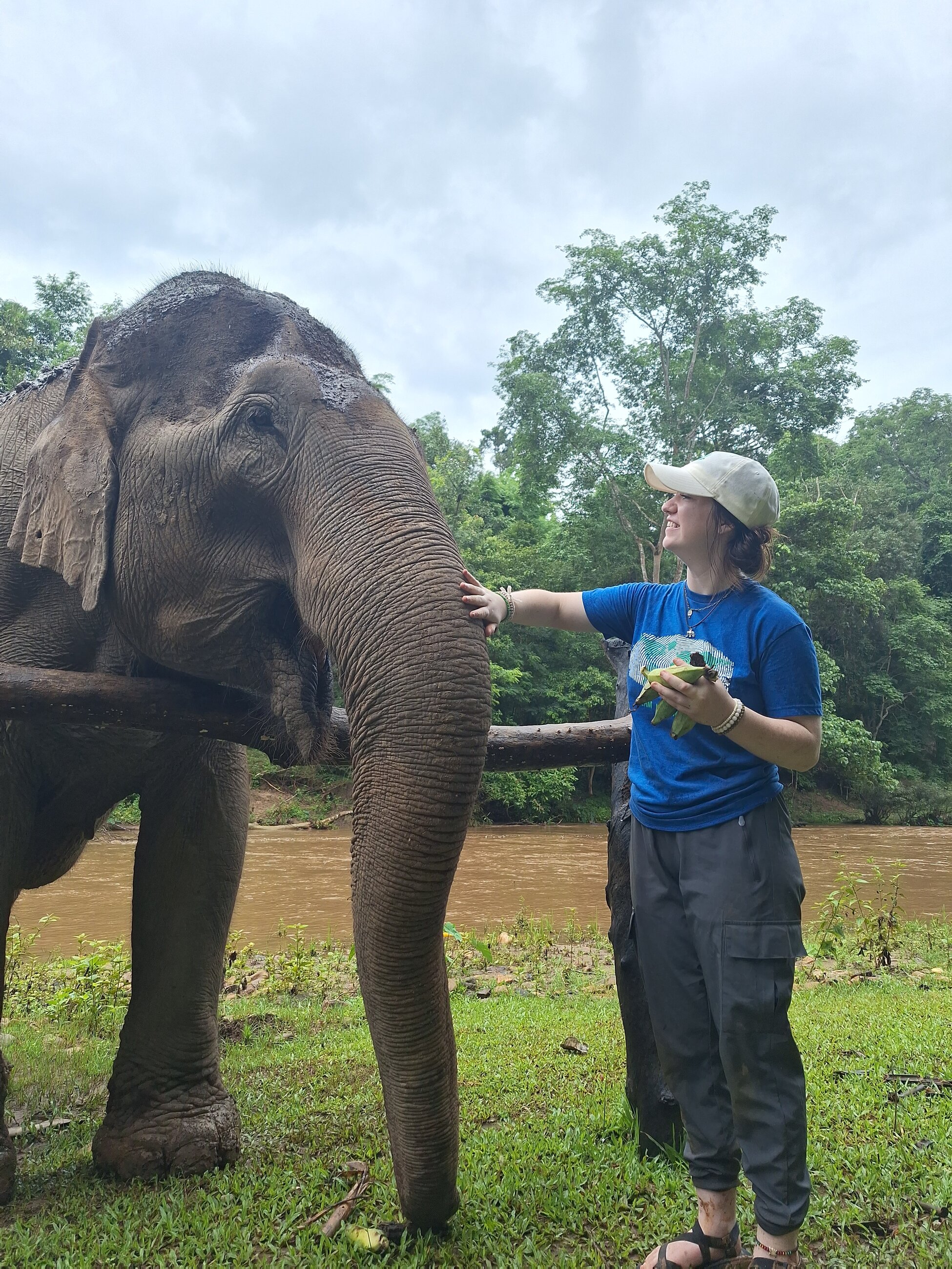 Elephant Sanctuary