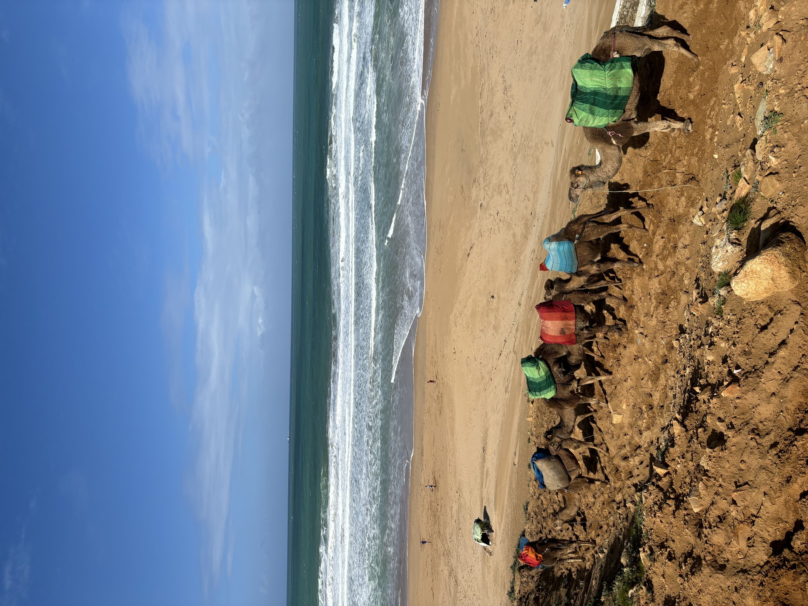 Camel ride in Morocco on AIFS program trip