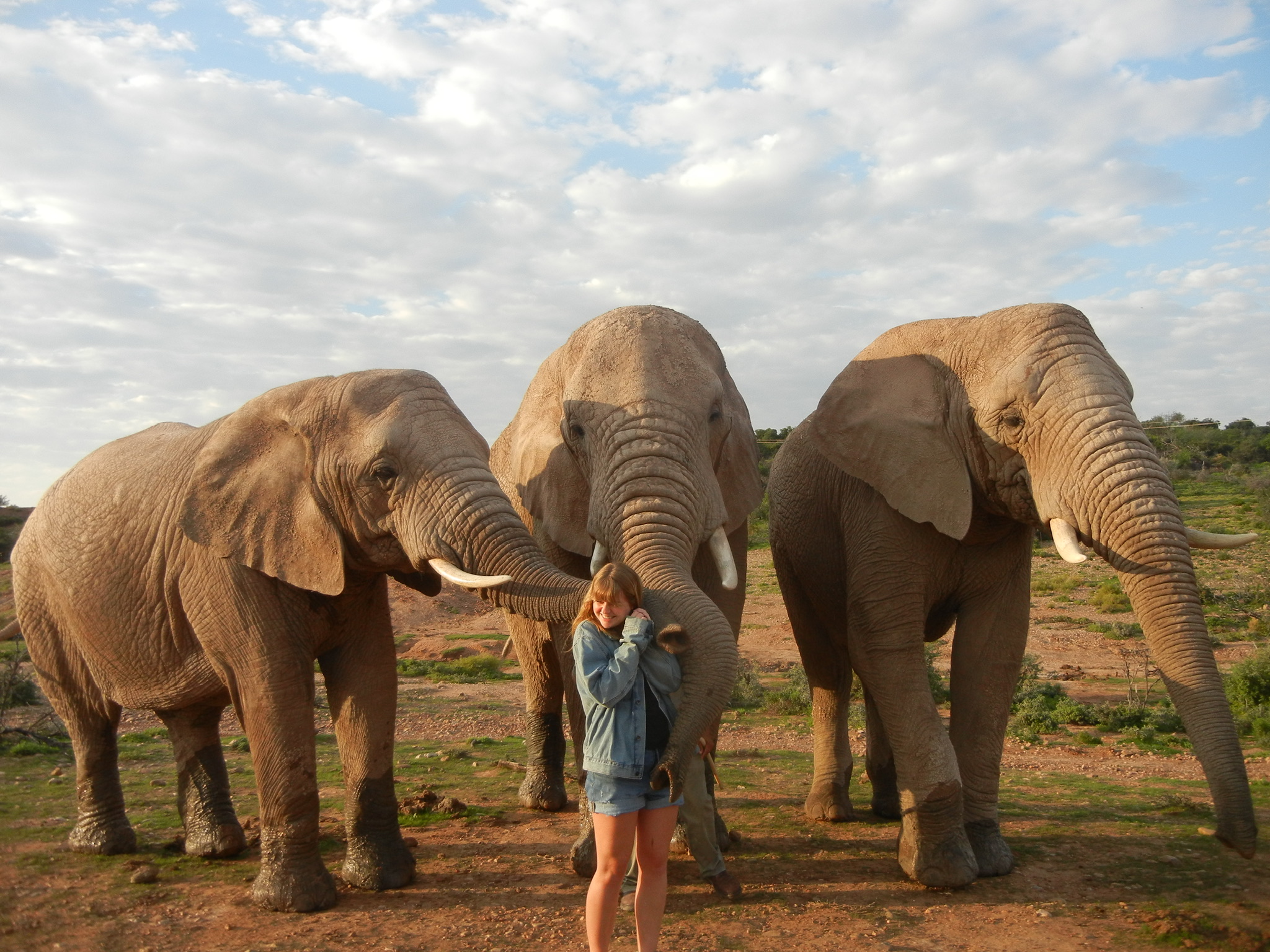 Elephant Walk, Garden Route