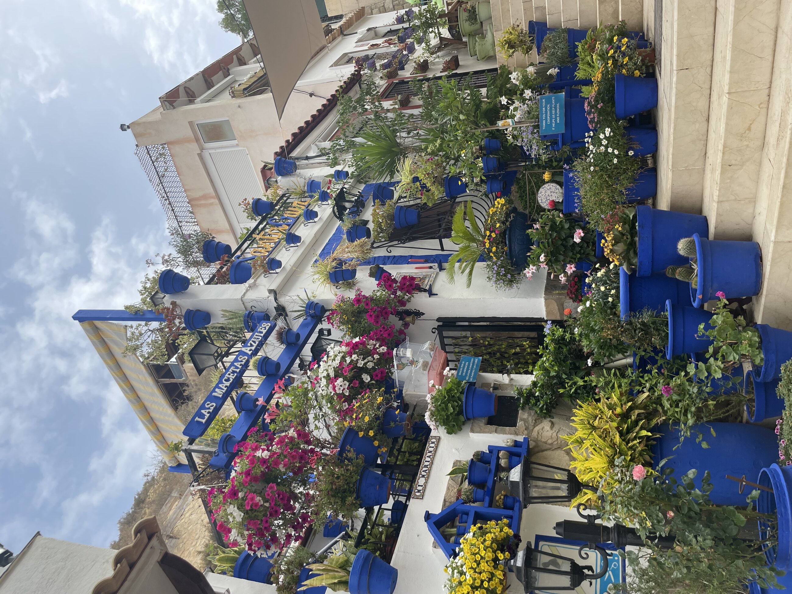Beautifull house in the old neighborhood
