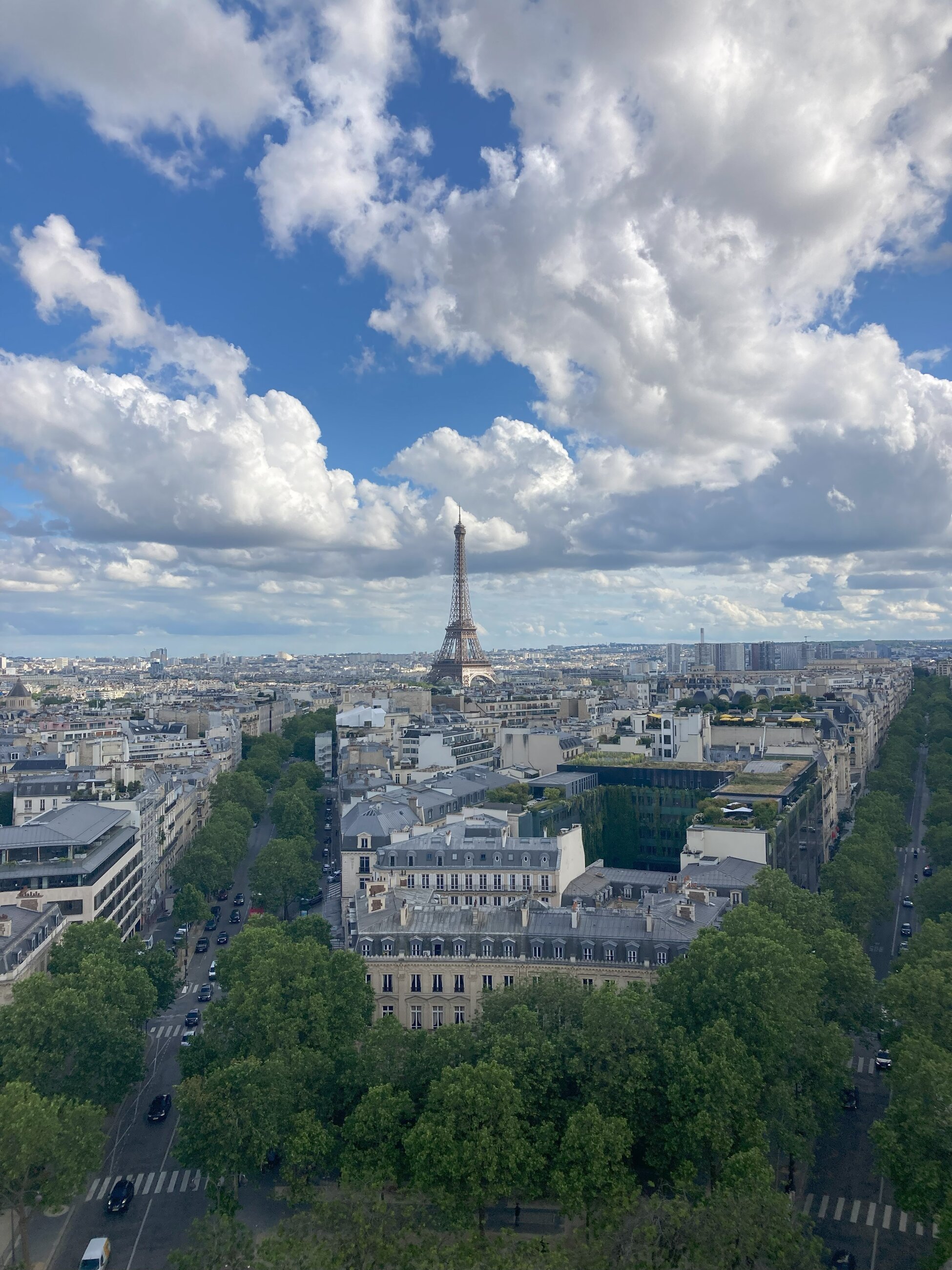 View of Paris and the Eiffel Tower from the Arch de Triomphe