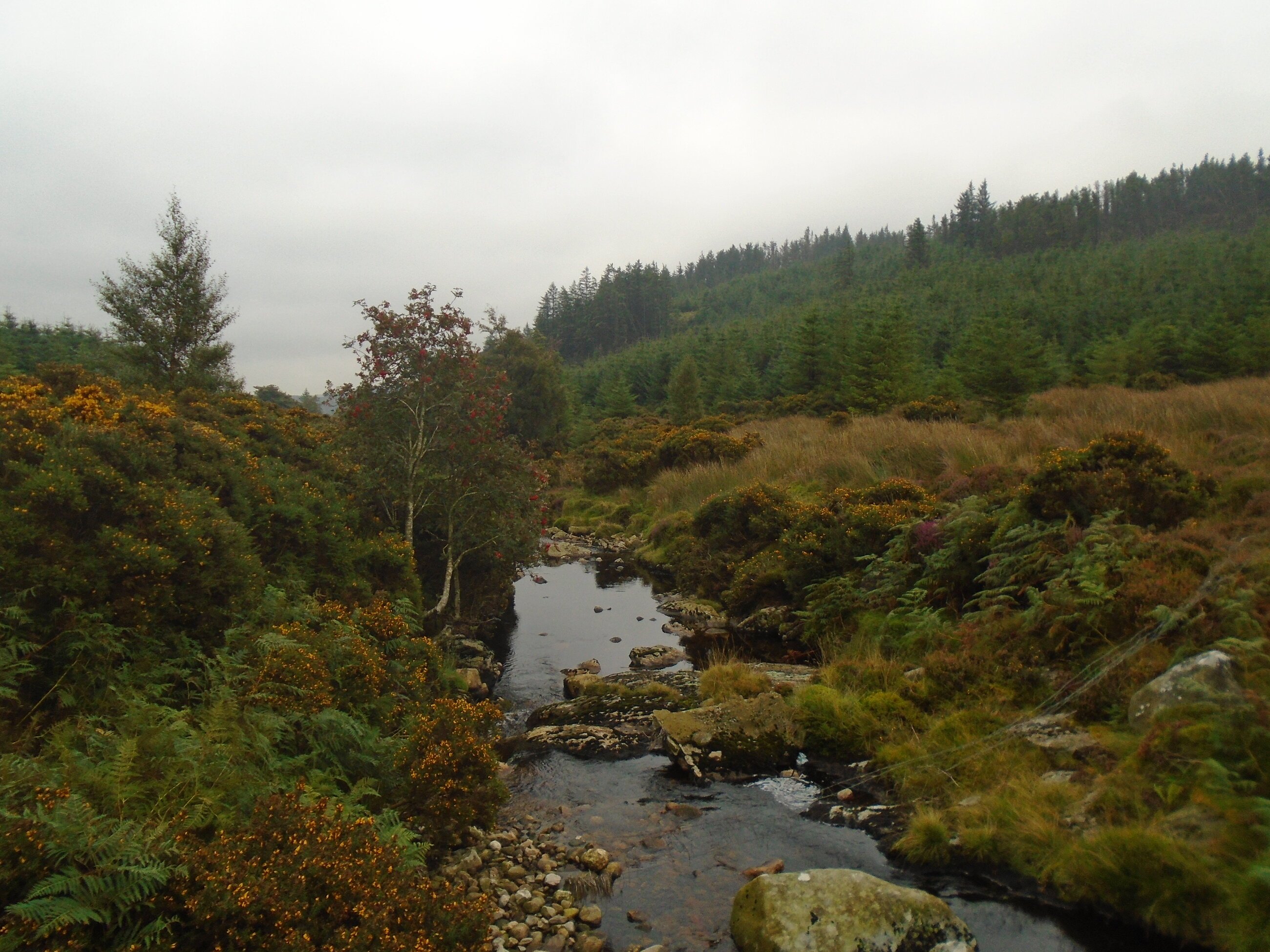 Rumbling creek