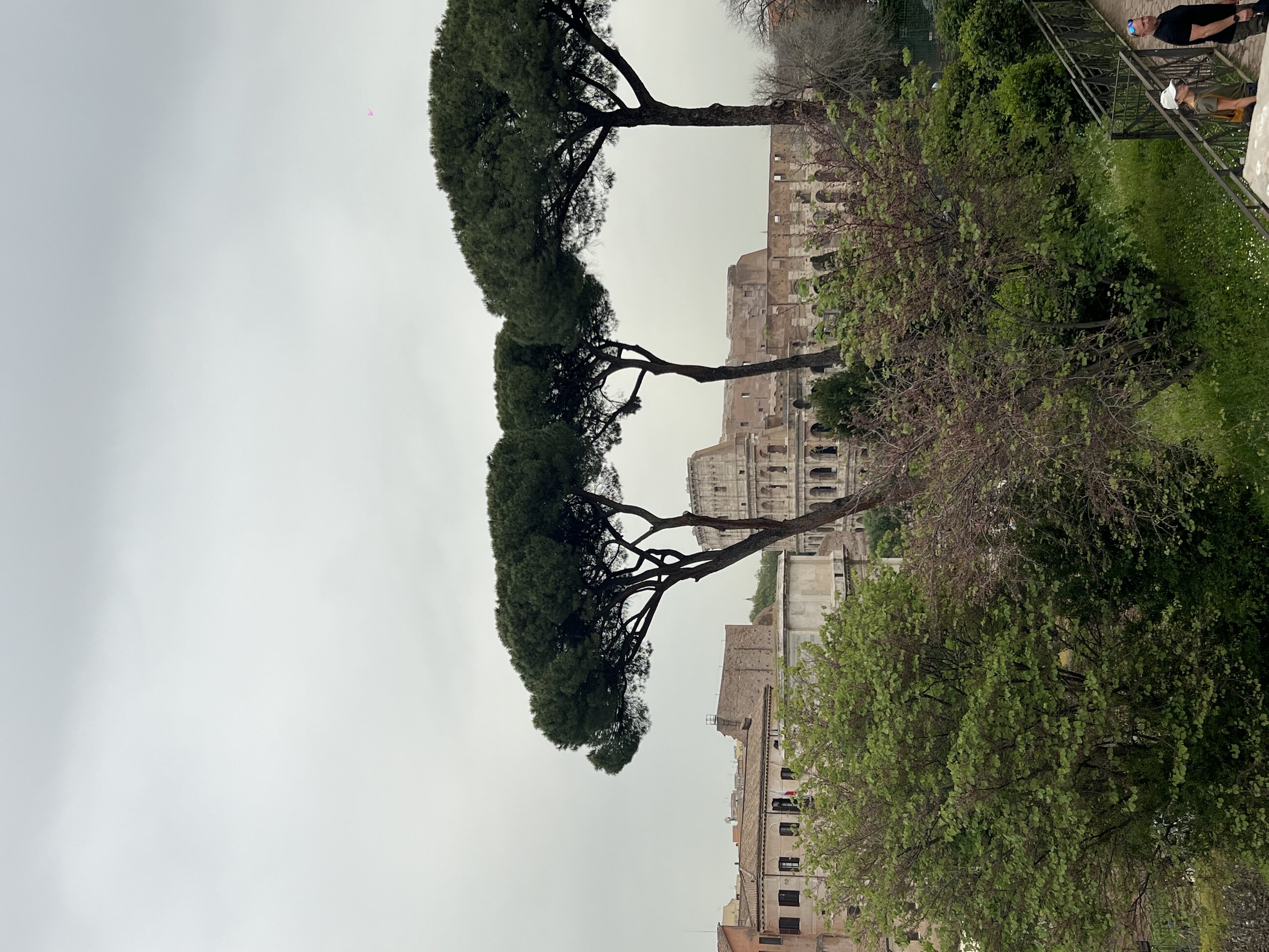 View of the Colosseum from the Forum!