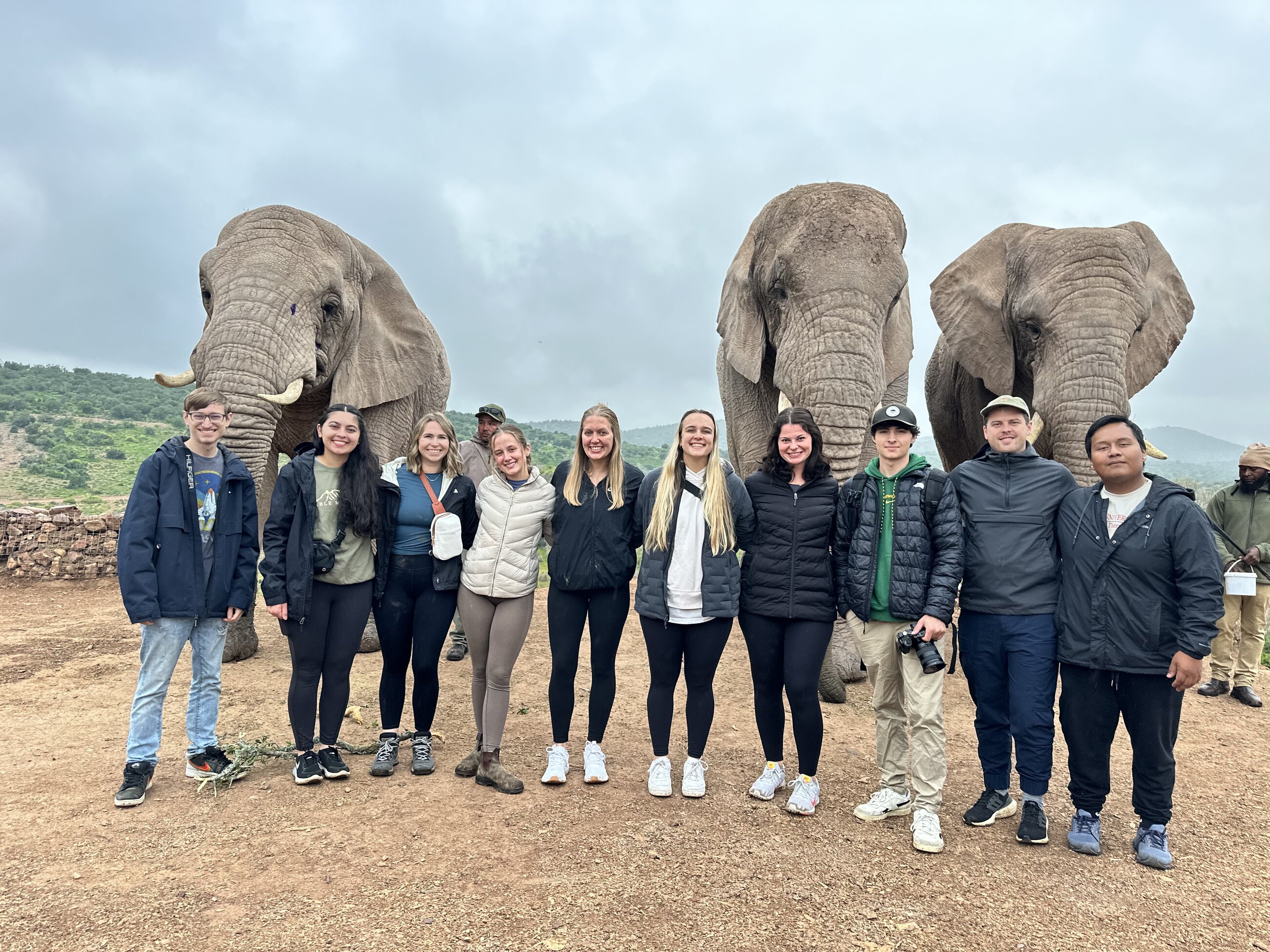 Elephant Walk, Garden Route