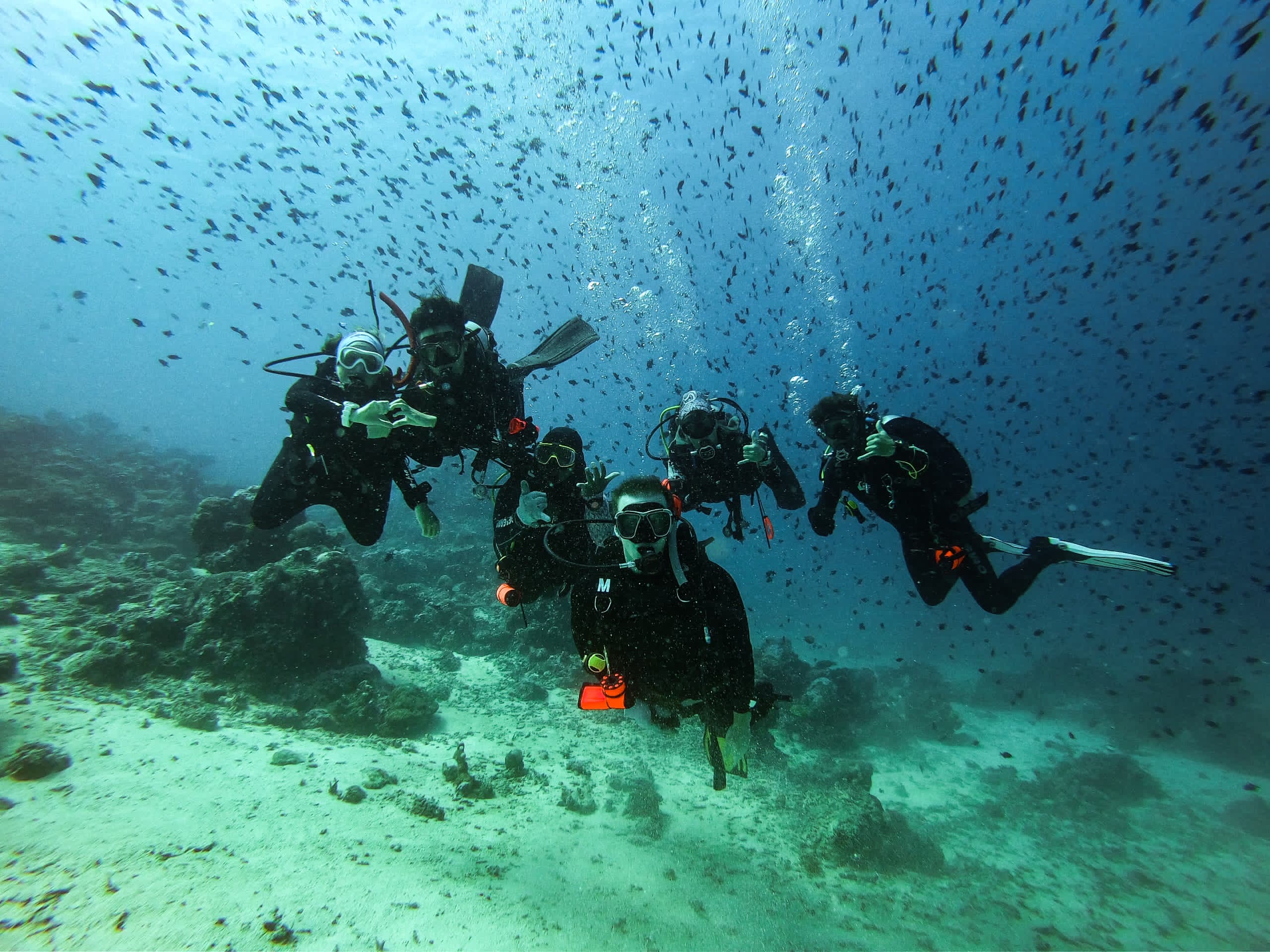 share love under water guys