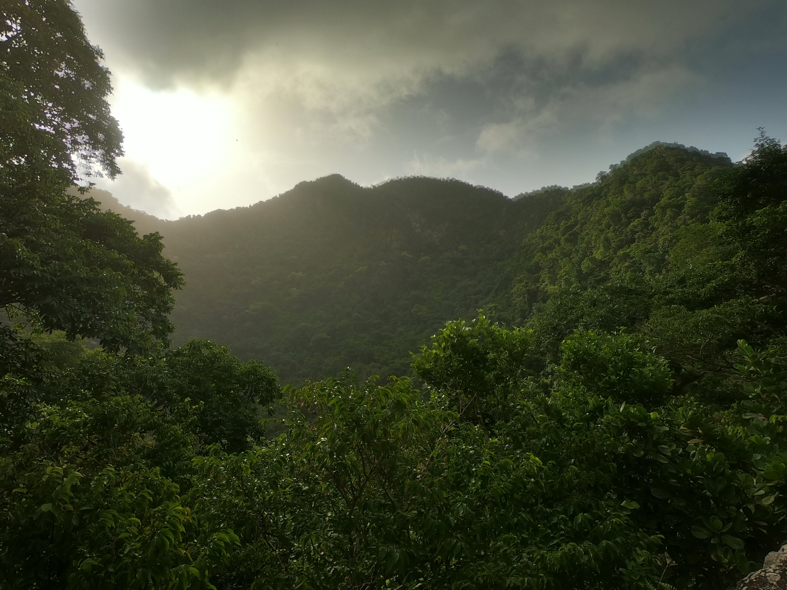 Hike
