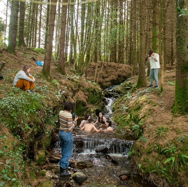 forest reference pictures