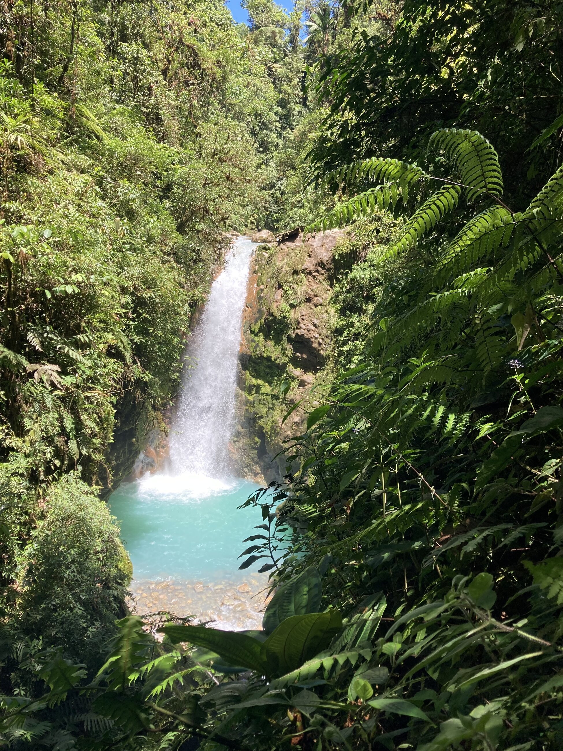 beautiful waterfall in the jungle 