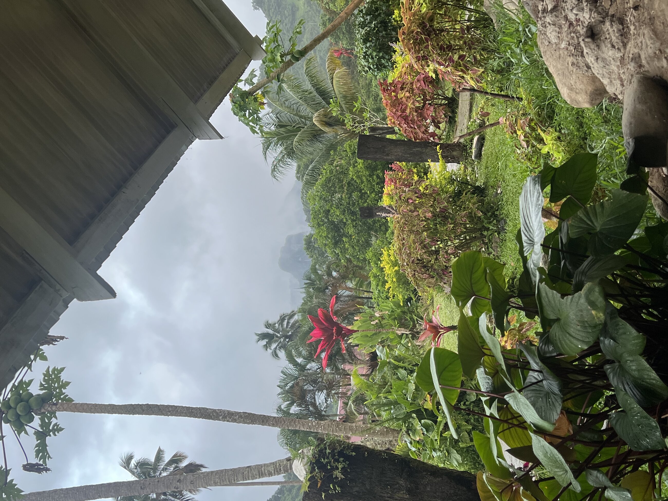 Typical rainy evening in the Fiji highlands