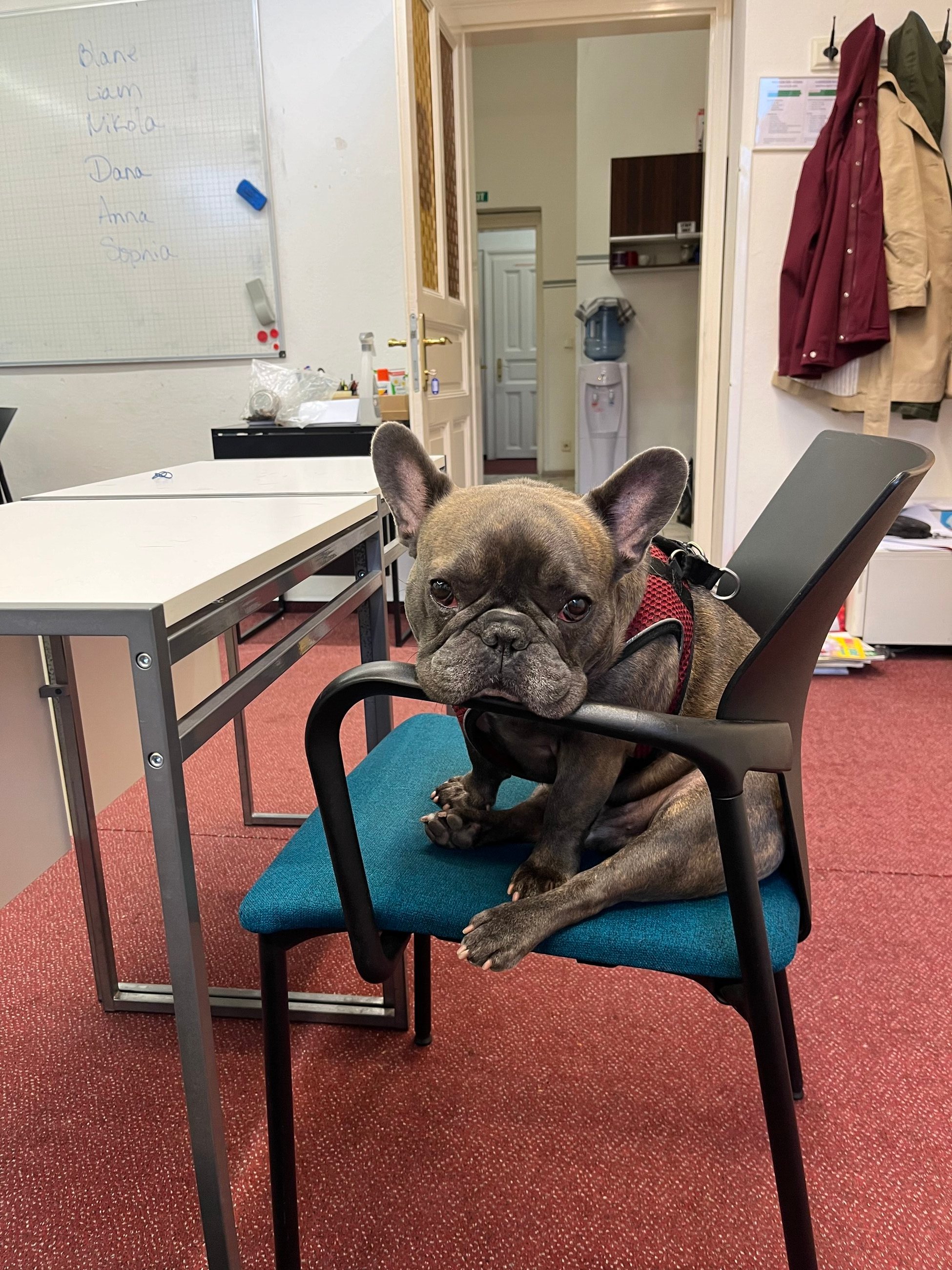Planning a lesson with our buddy