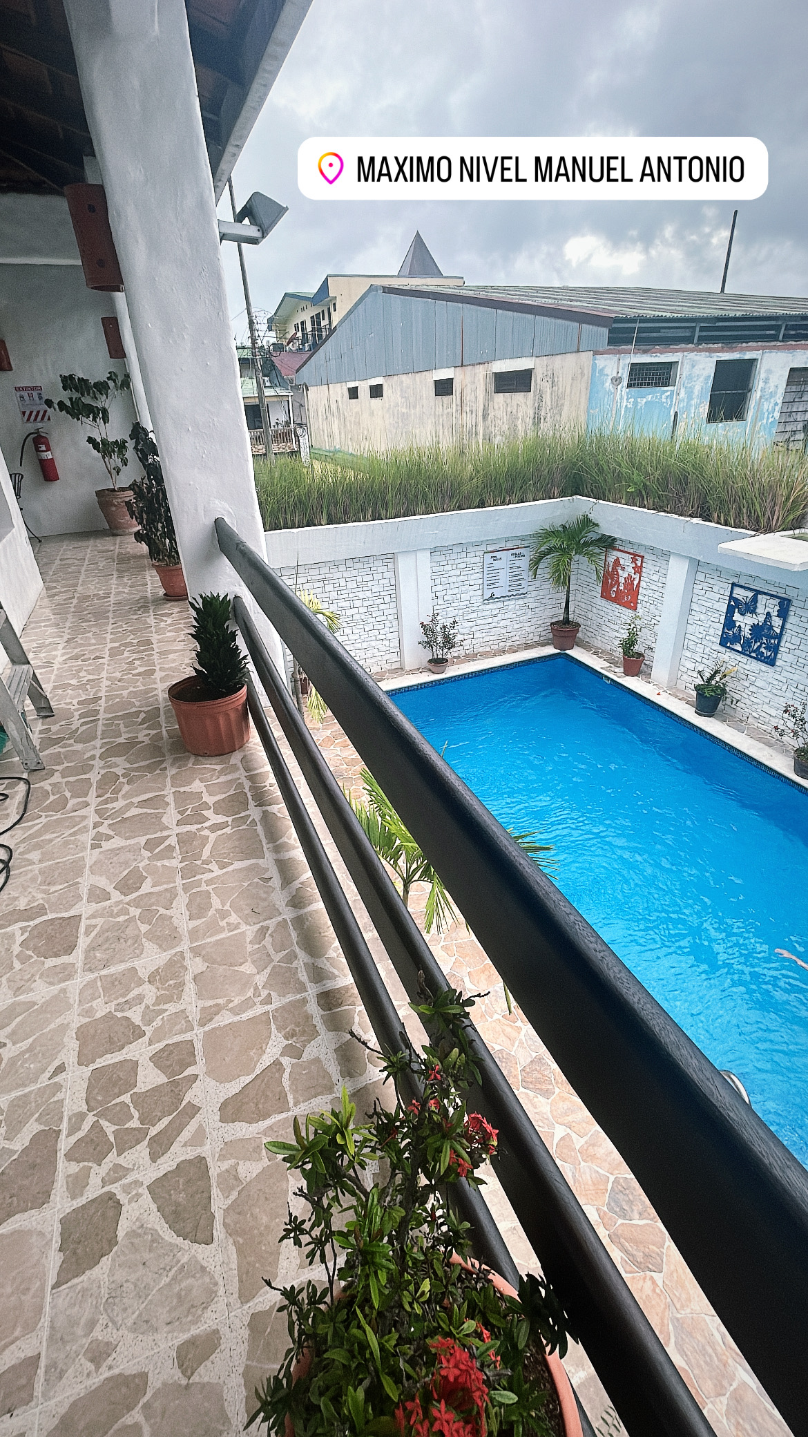 Cooling off in the pool after classes