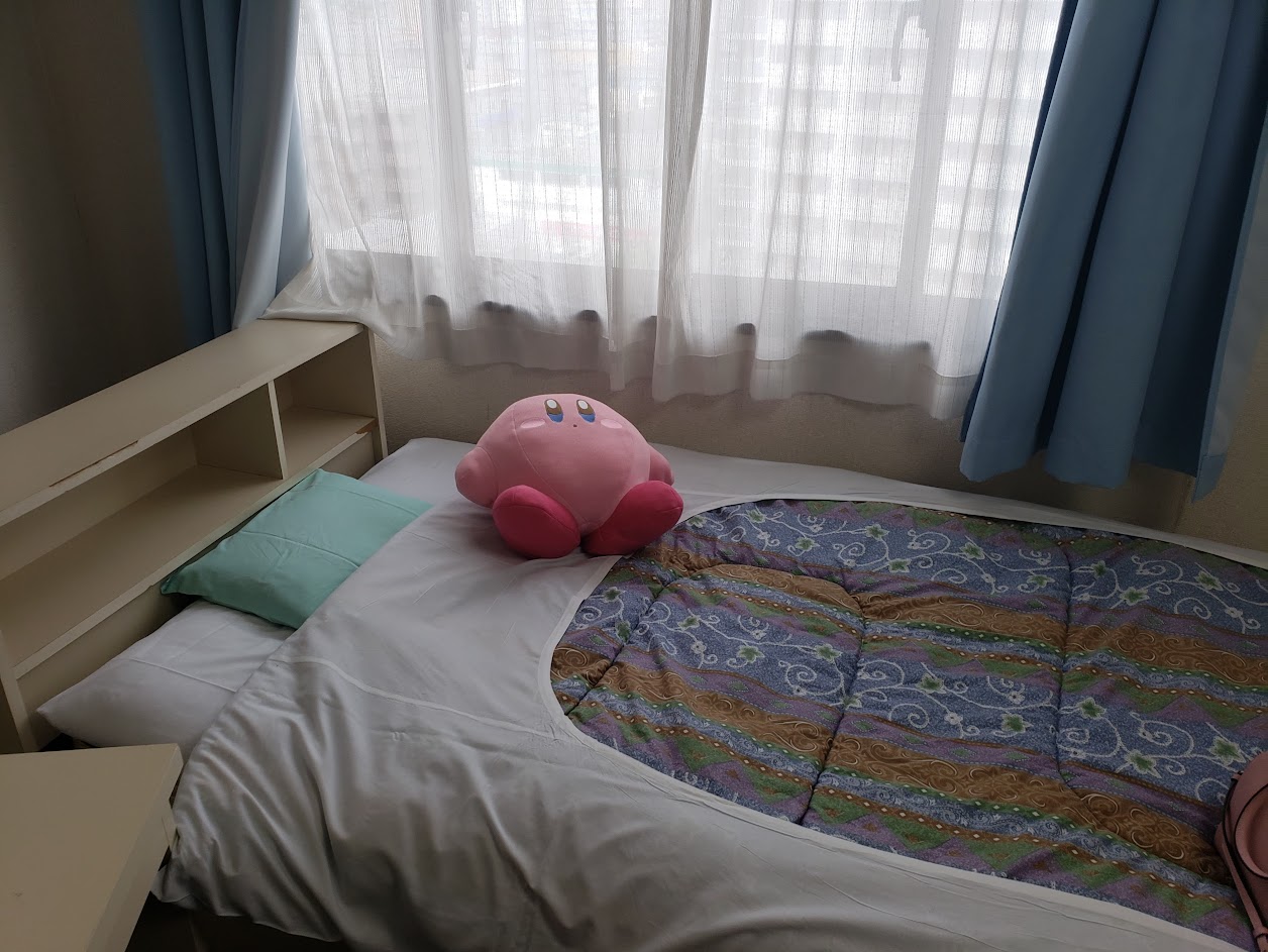 This was my apartment, all the students were placed in either the apt in Edogawa or someplace else, it was pretty cozy here