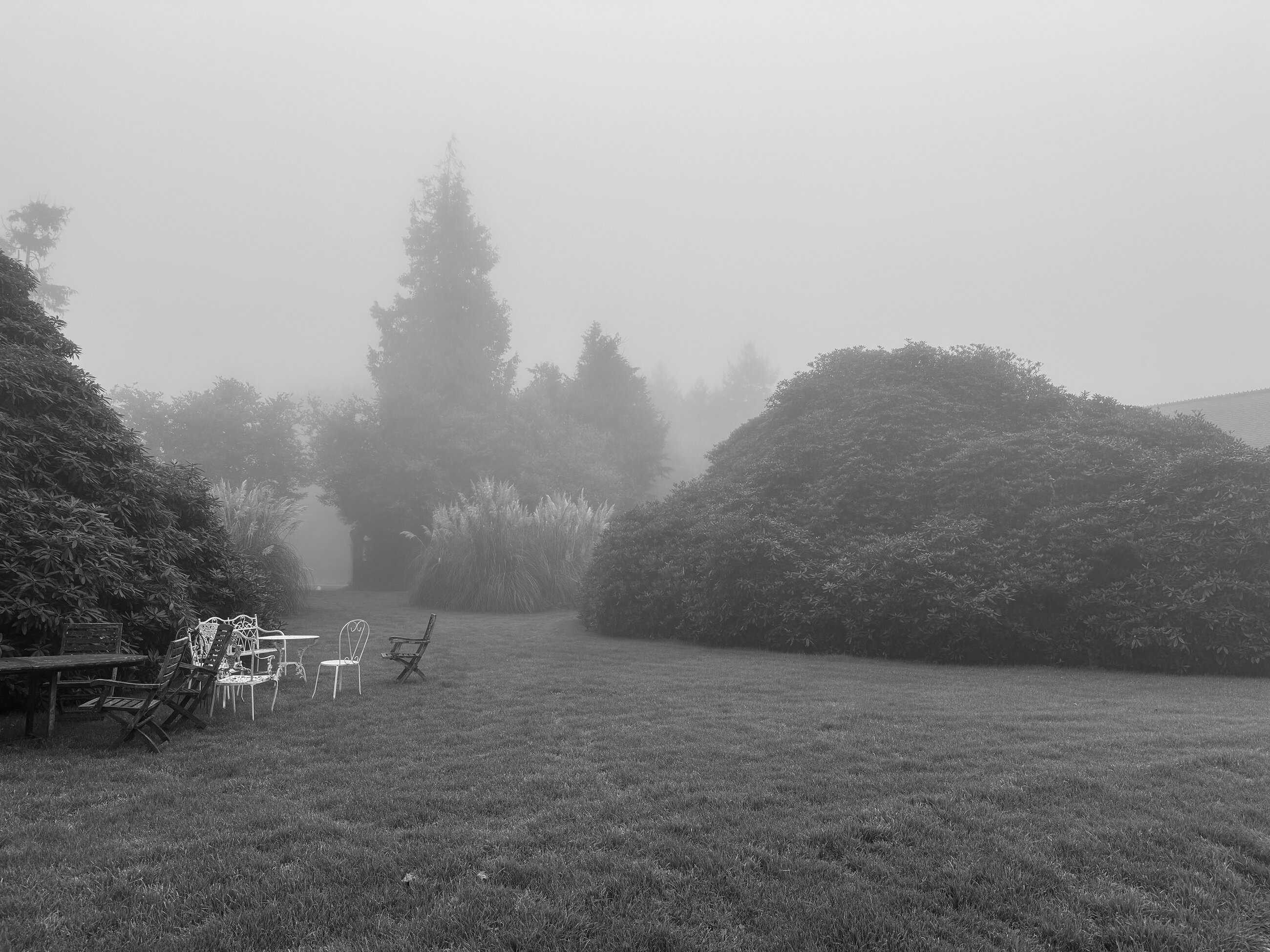 Chateau grounds in the fog