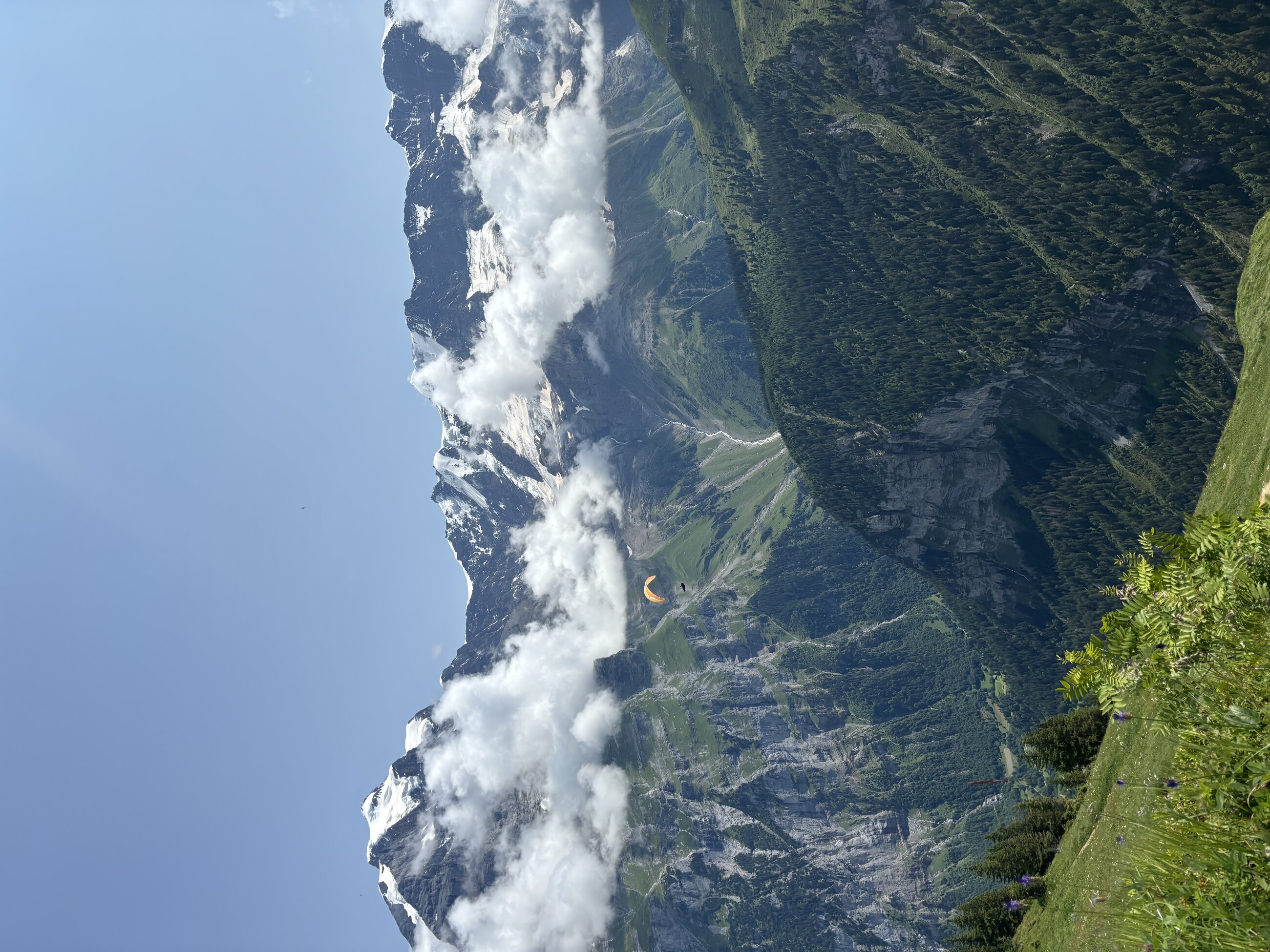 Swiss alps