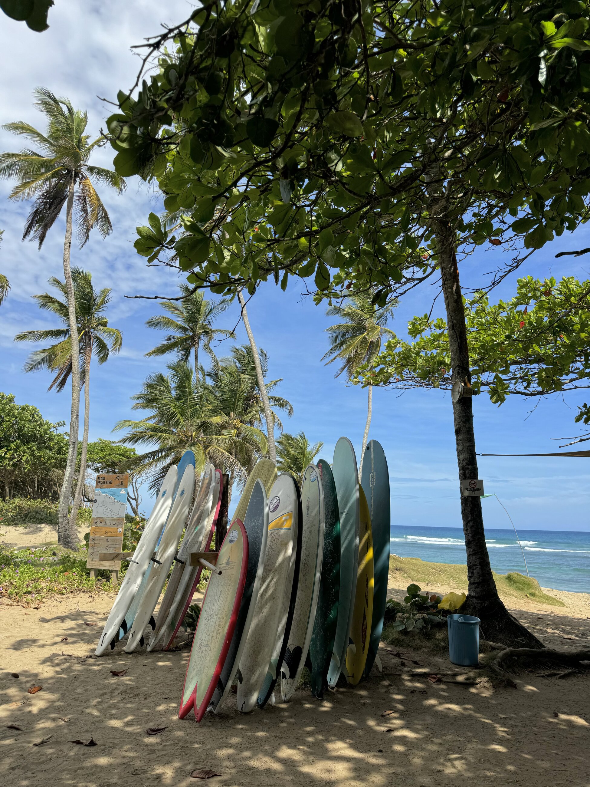 Learning how to surf in DR