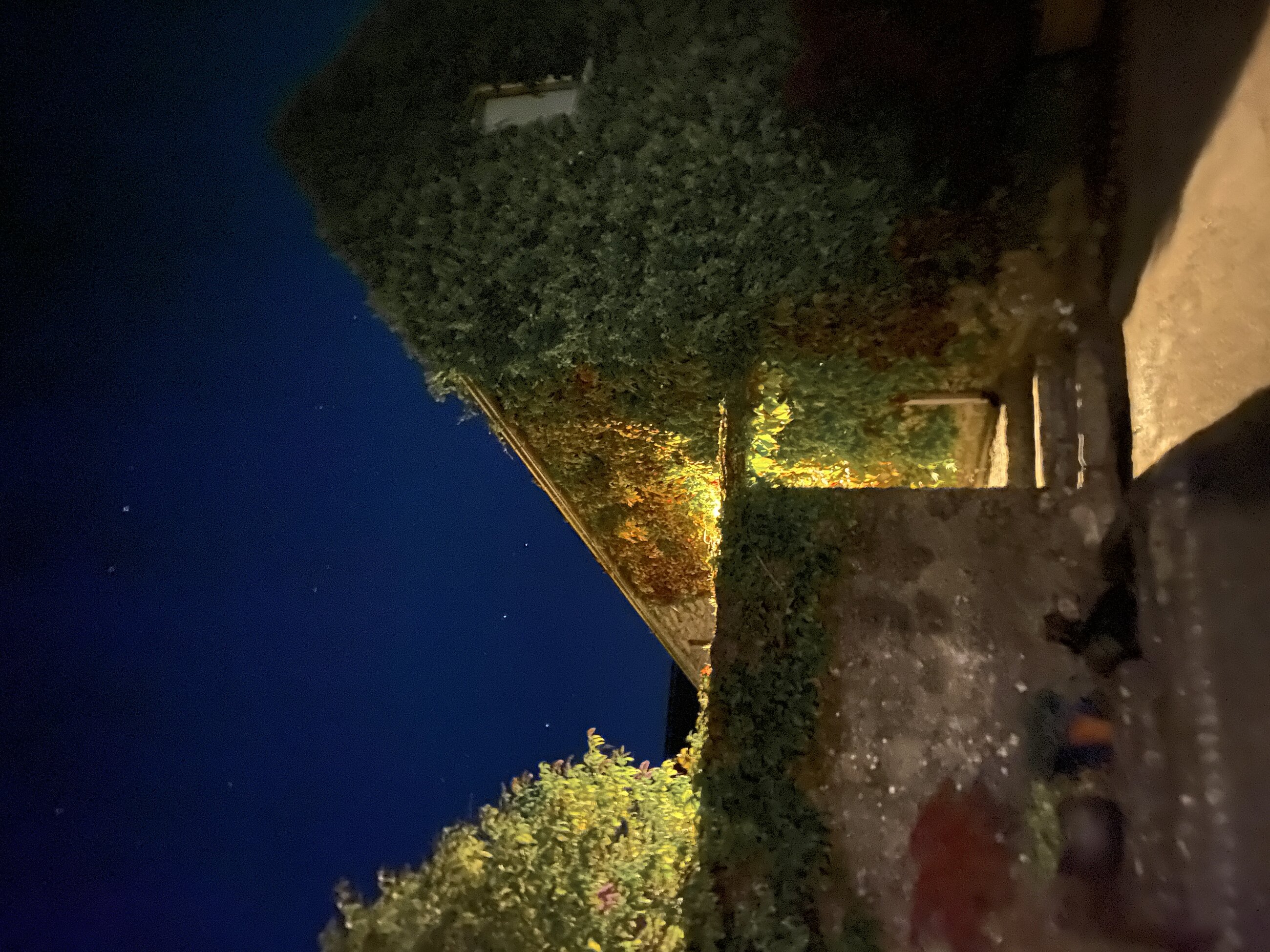 The barn