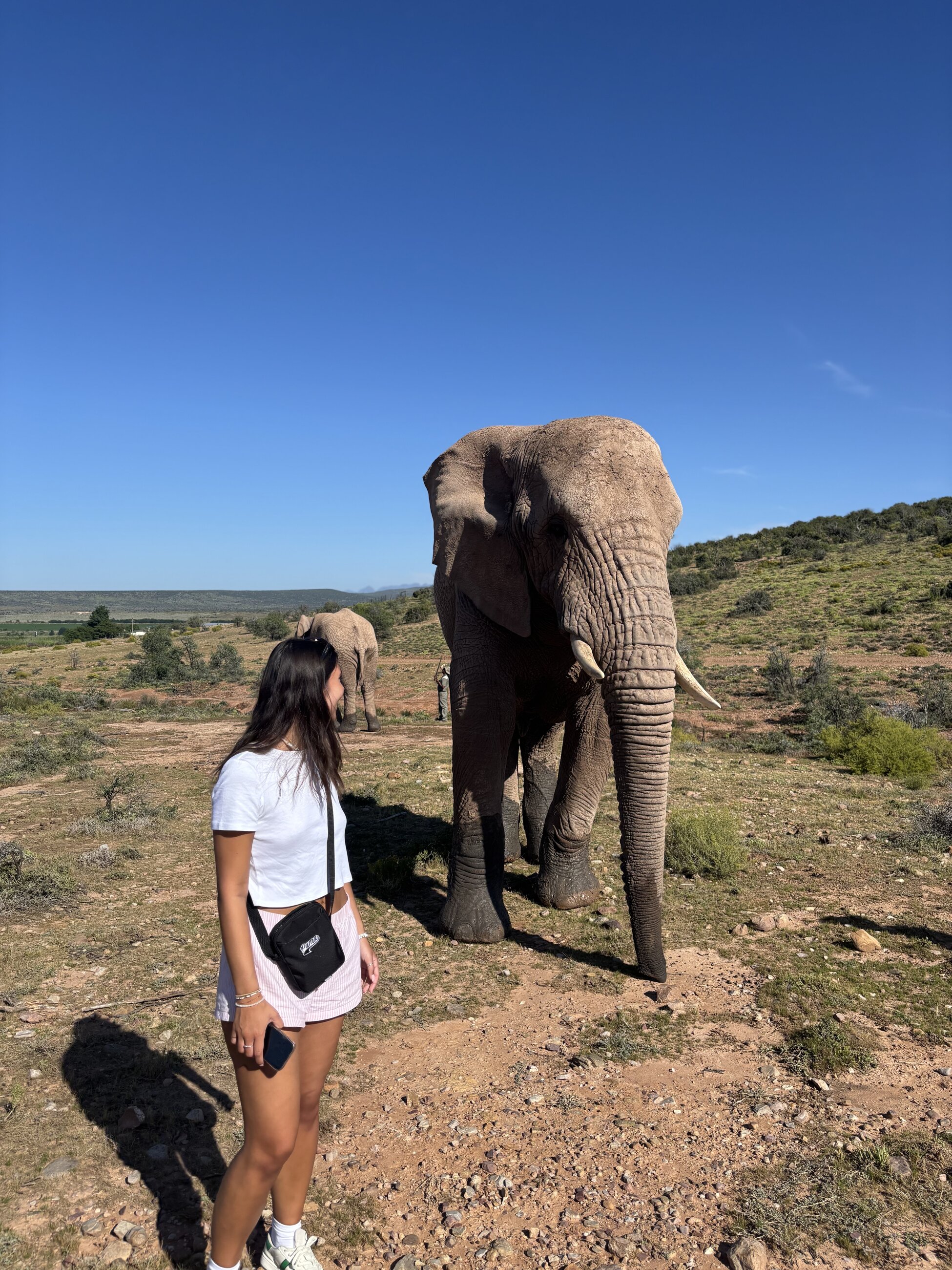 Morning at the elephant sanctuary