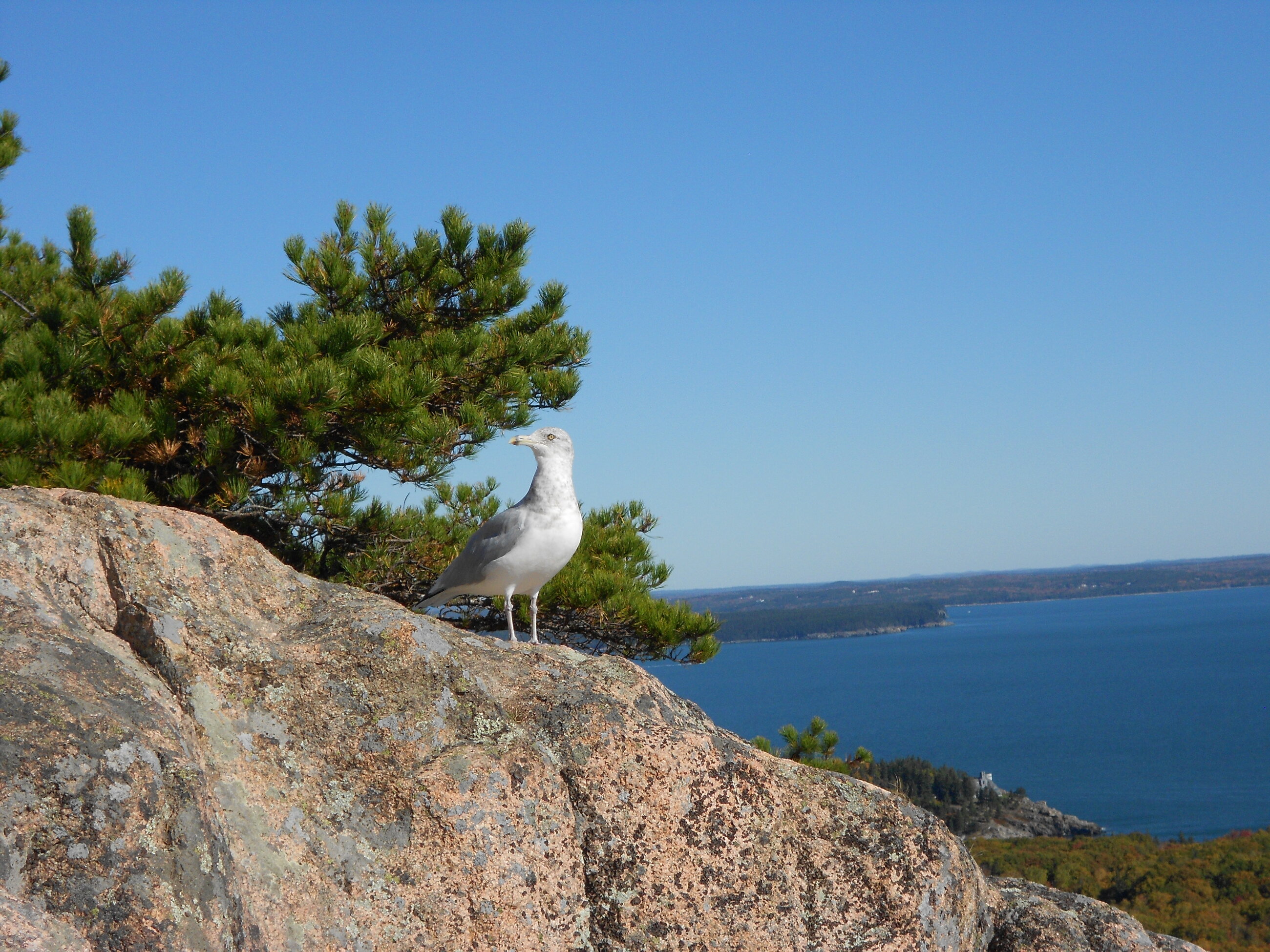 Acadia national park