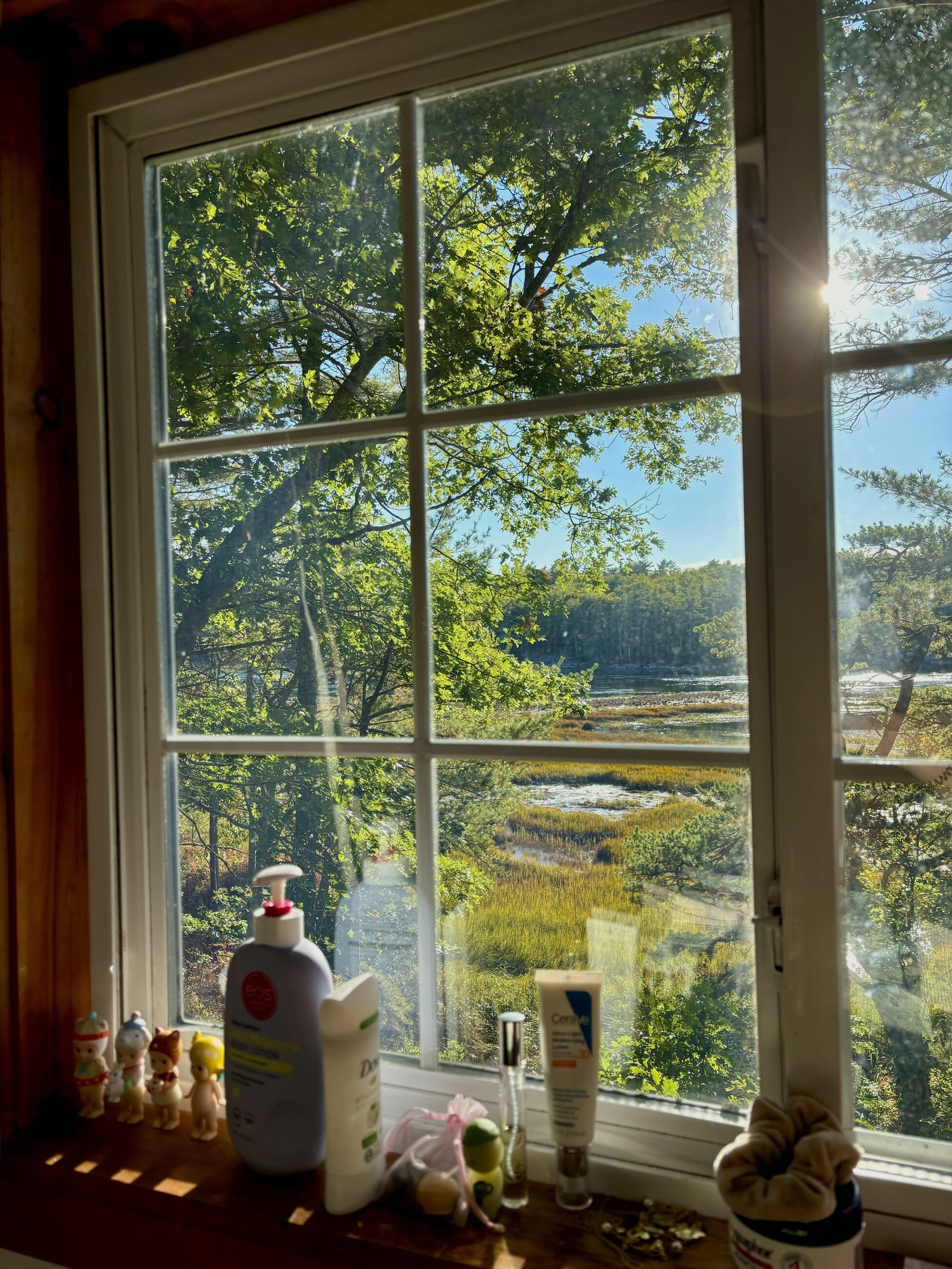 my bedroom view