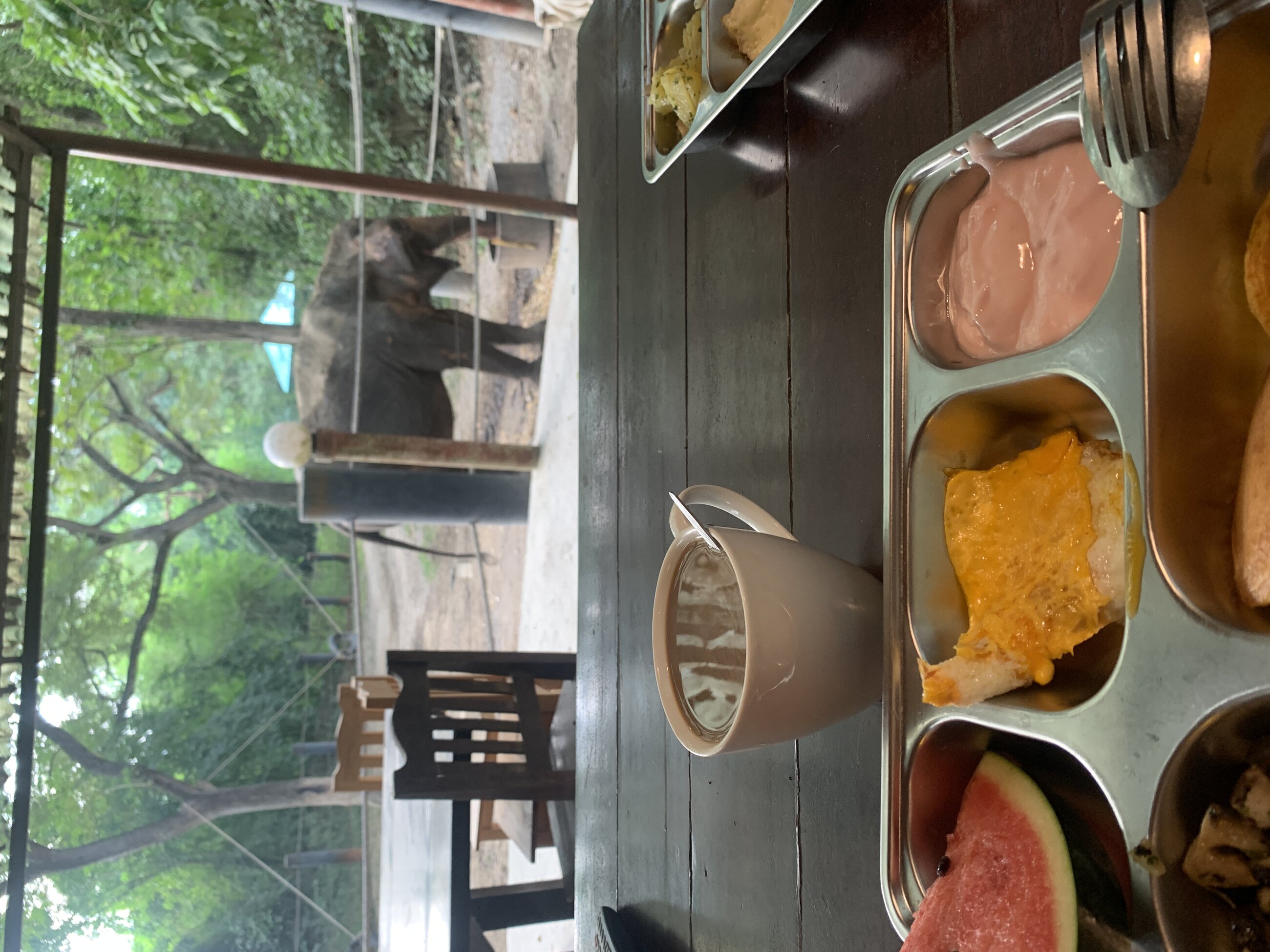 View from breakfast table.