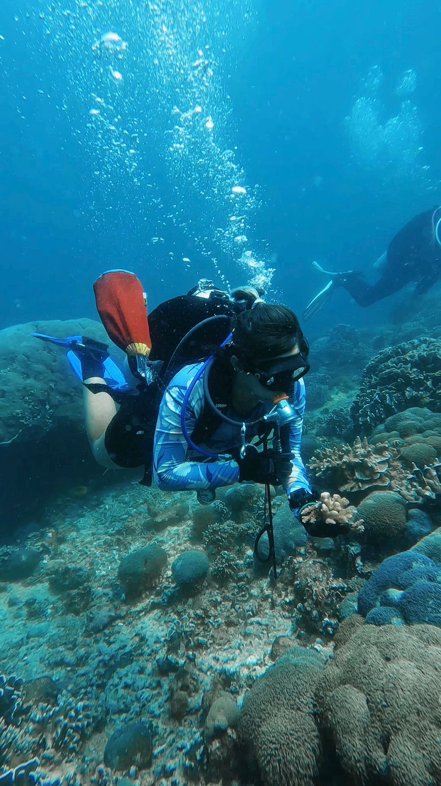 Searching for Coral Fragments