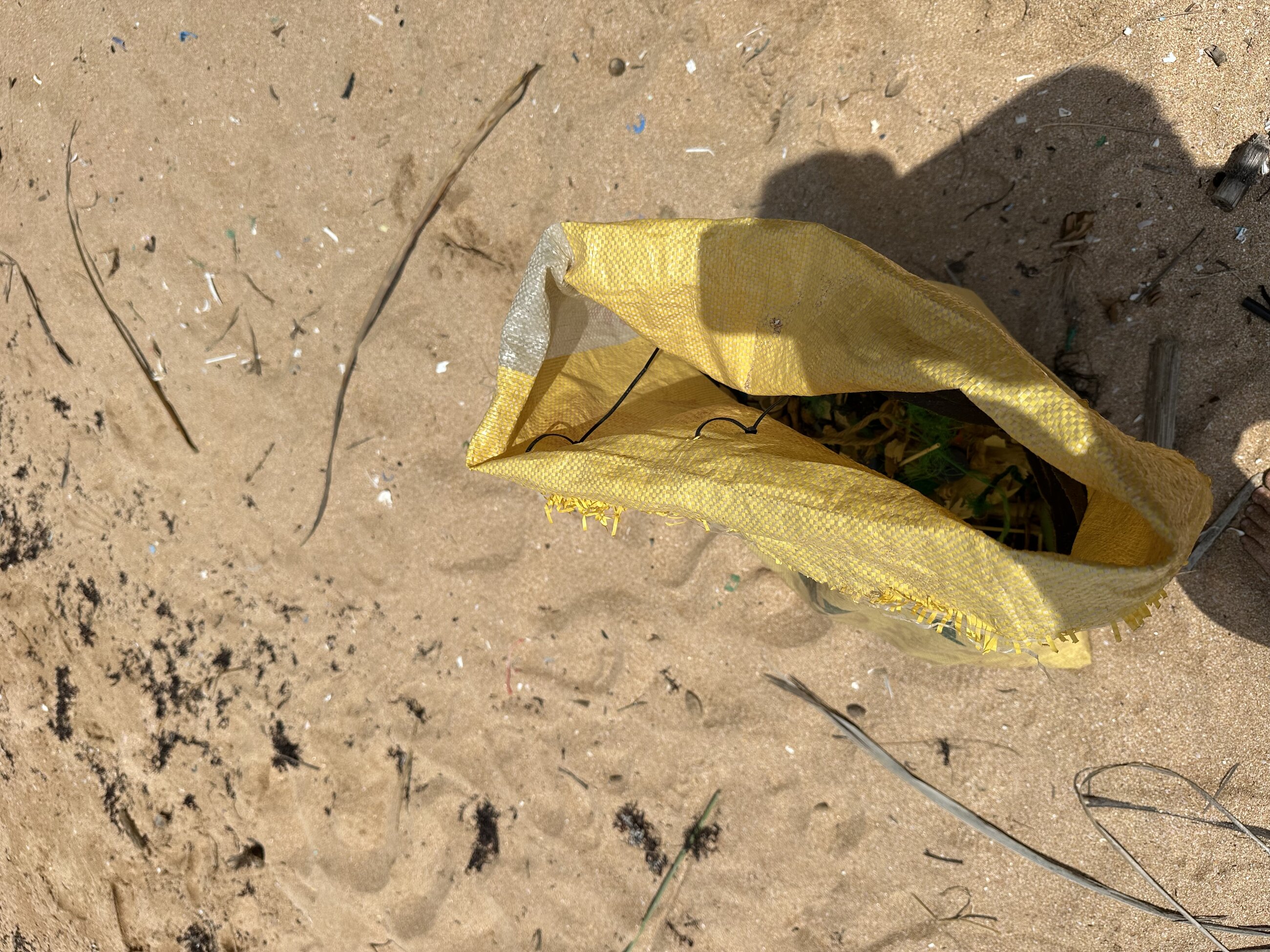 Beach cleaning