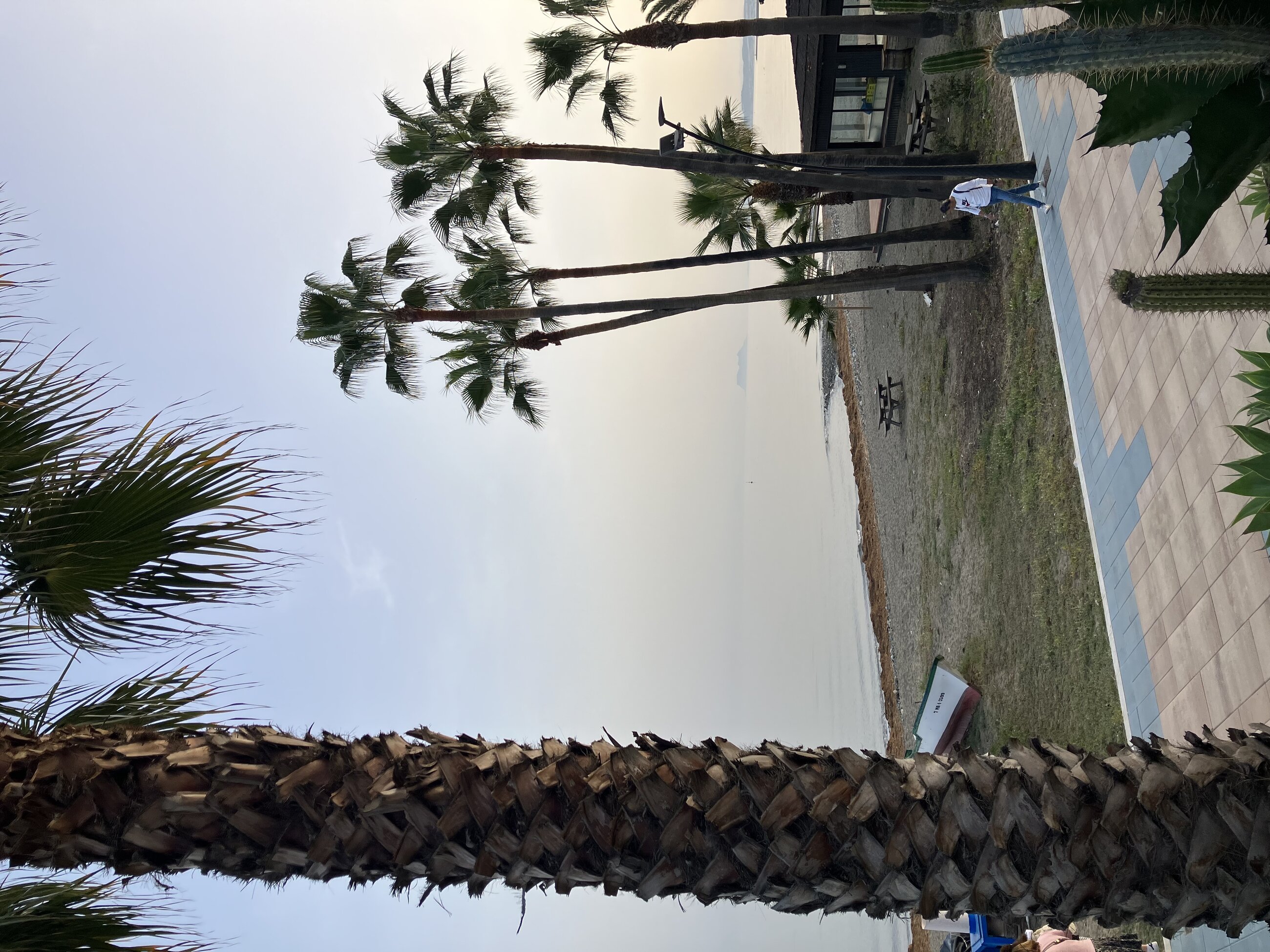 Estepona
