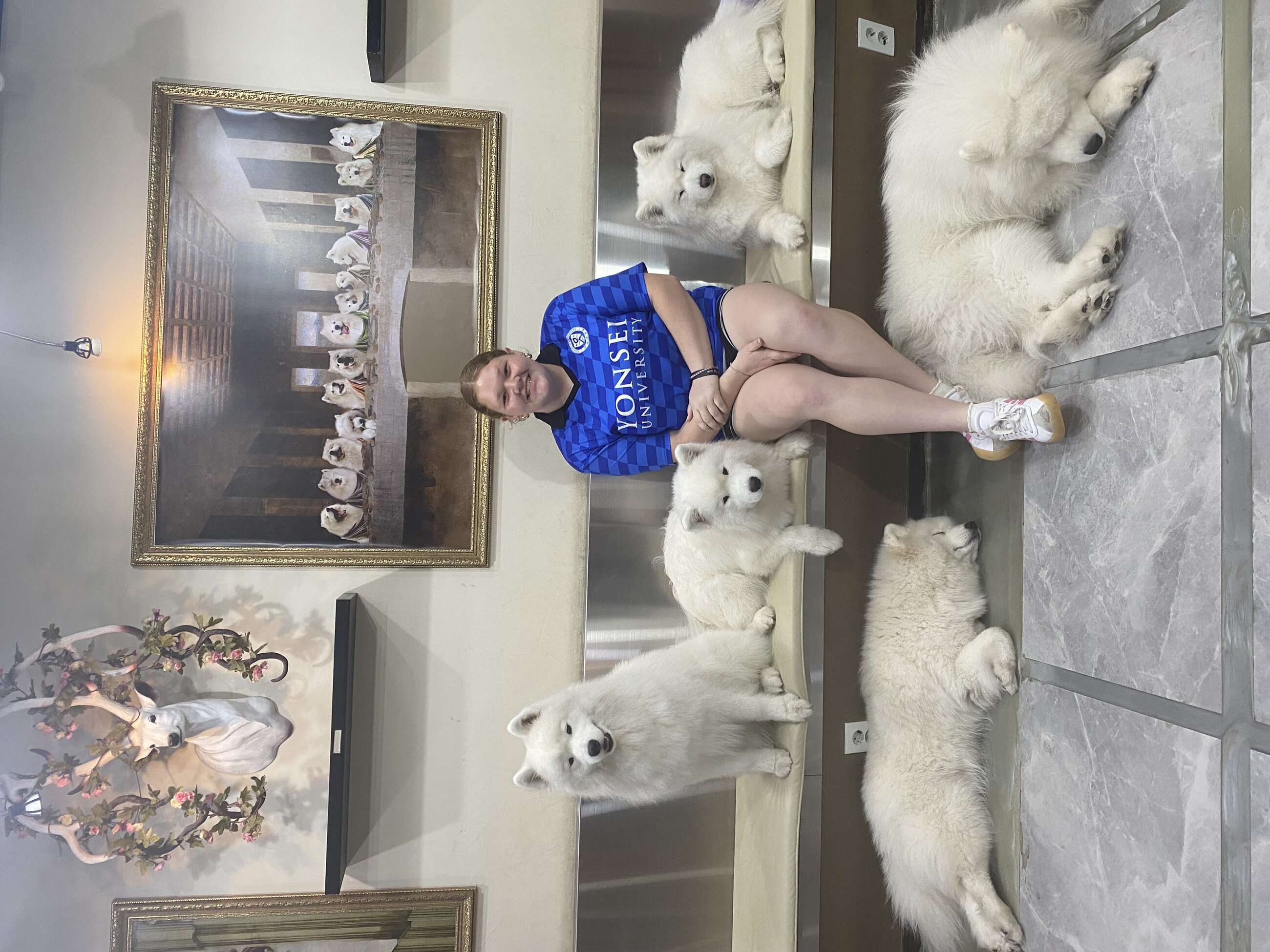 Dog cafe!!