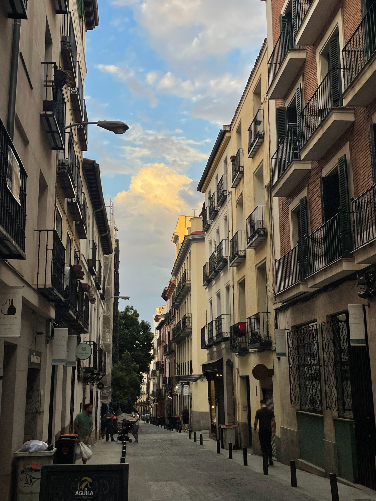 the streets of Madrid