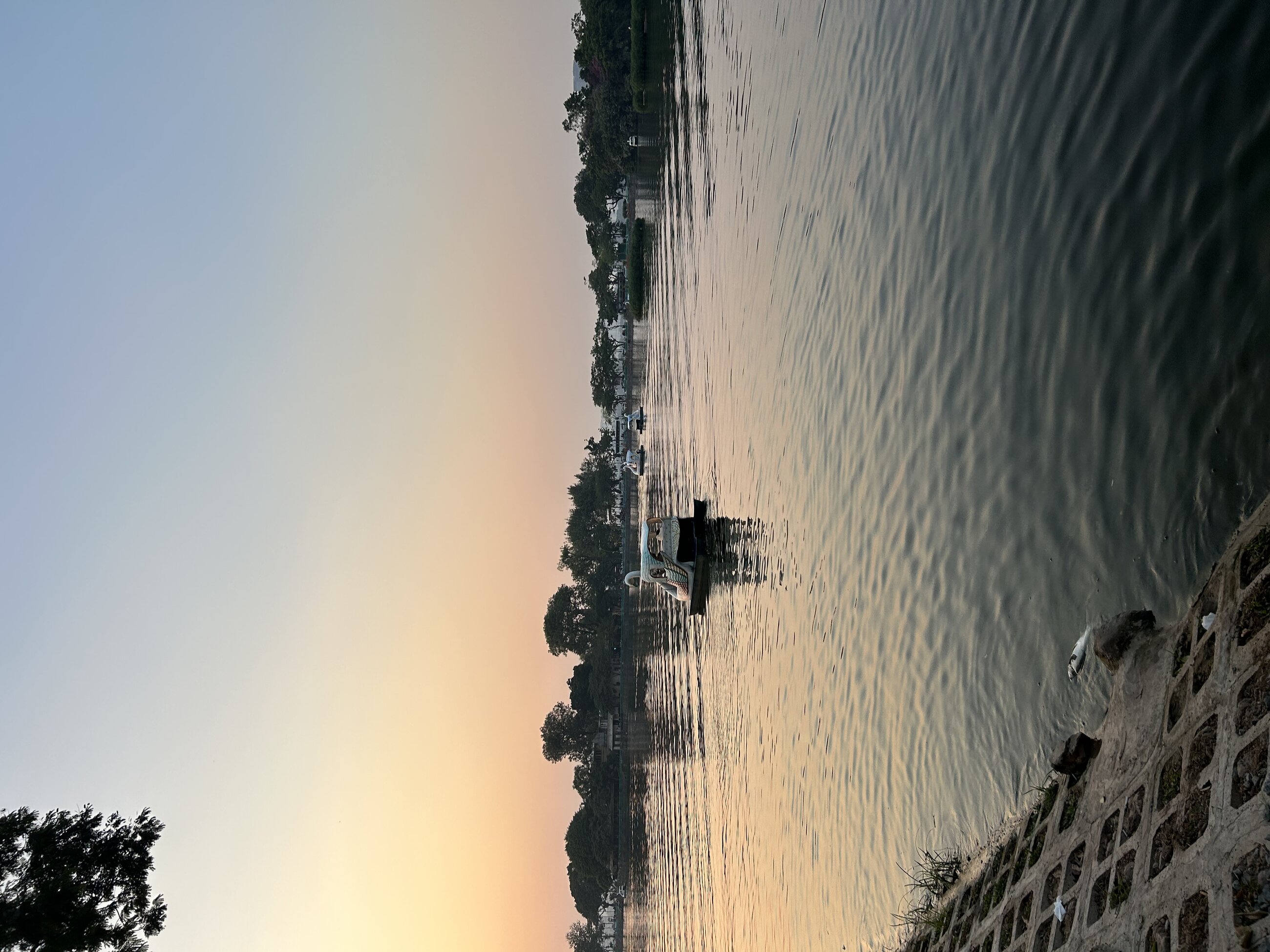 Views