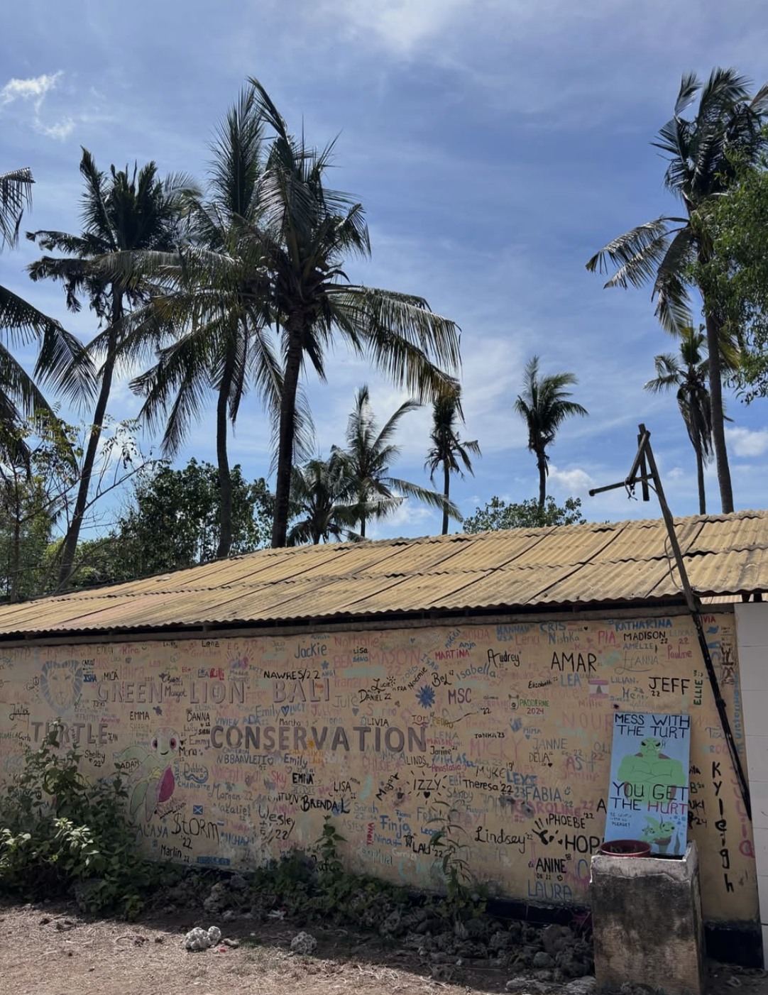 Turtle Conservation center