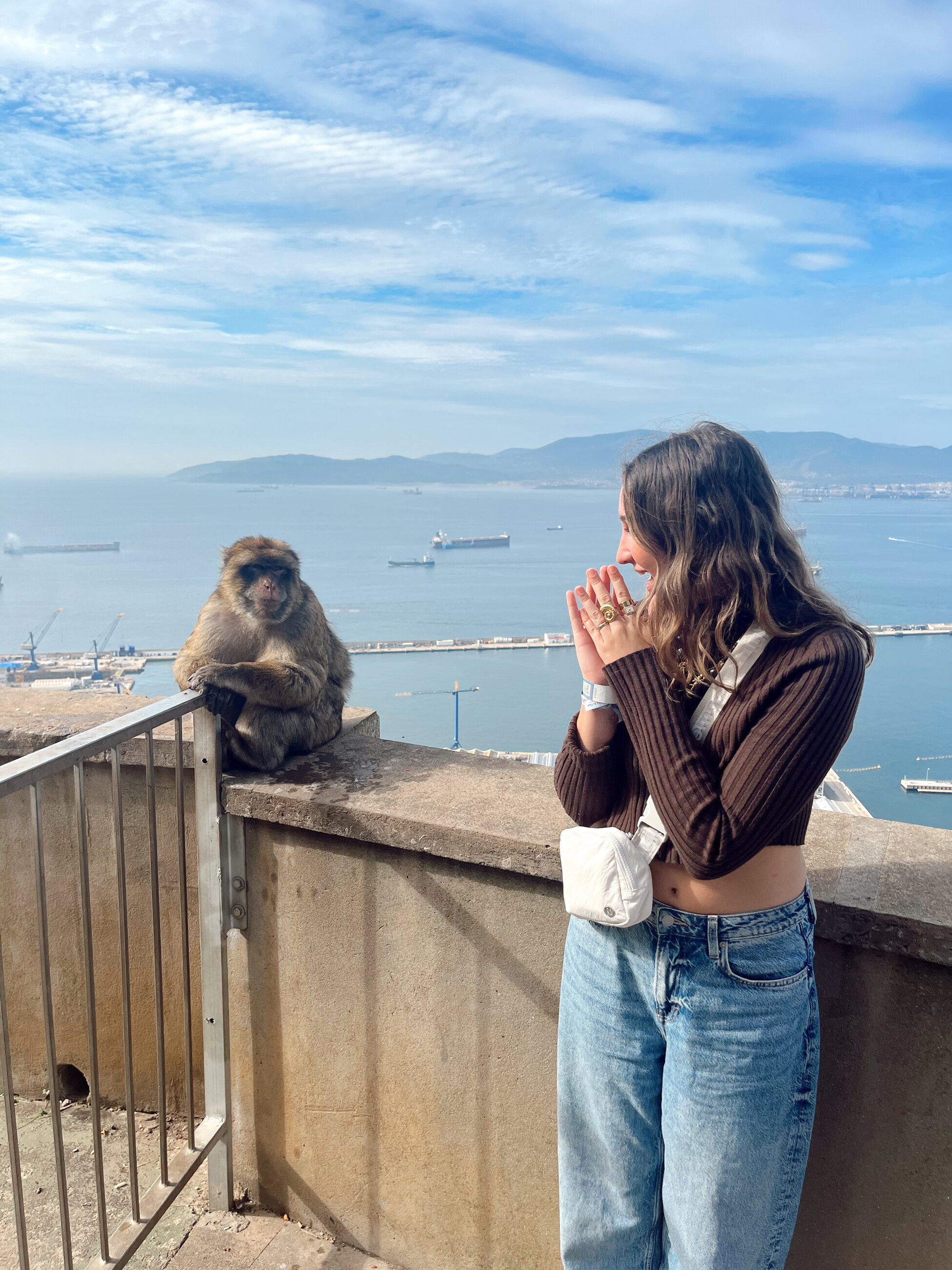Gibraltar Monkeys!