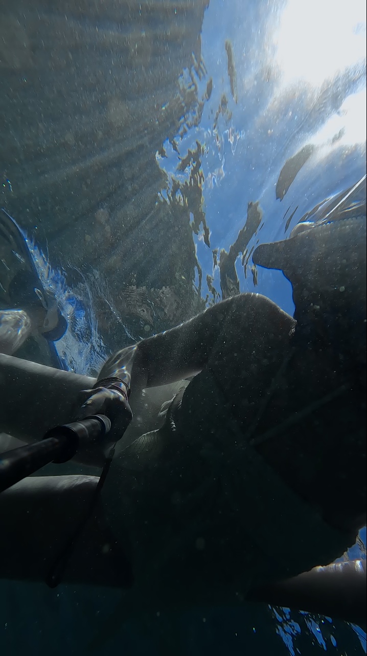 Snorkeling!