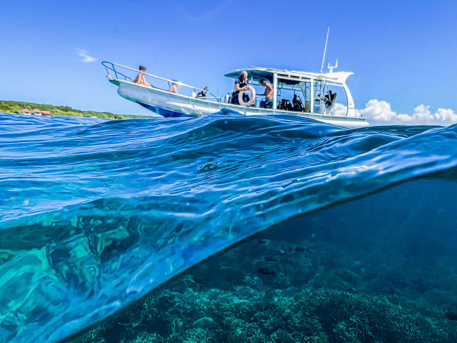 Split shot of the diving boat :)