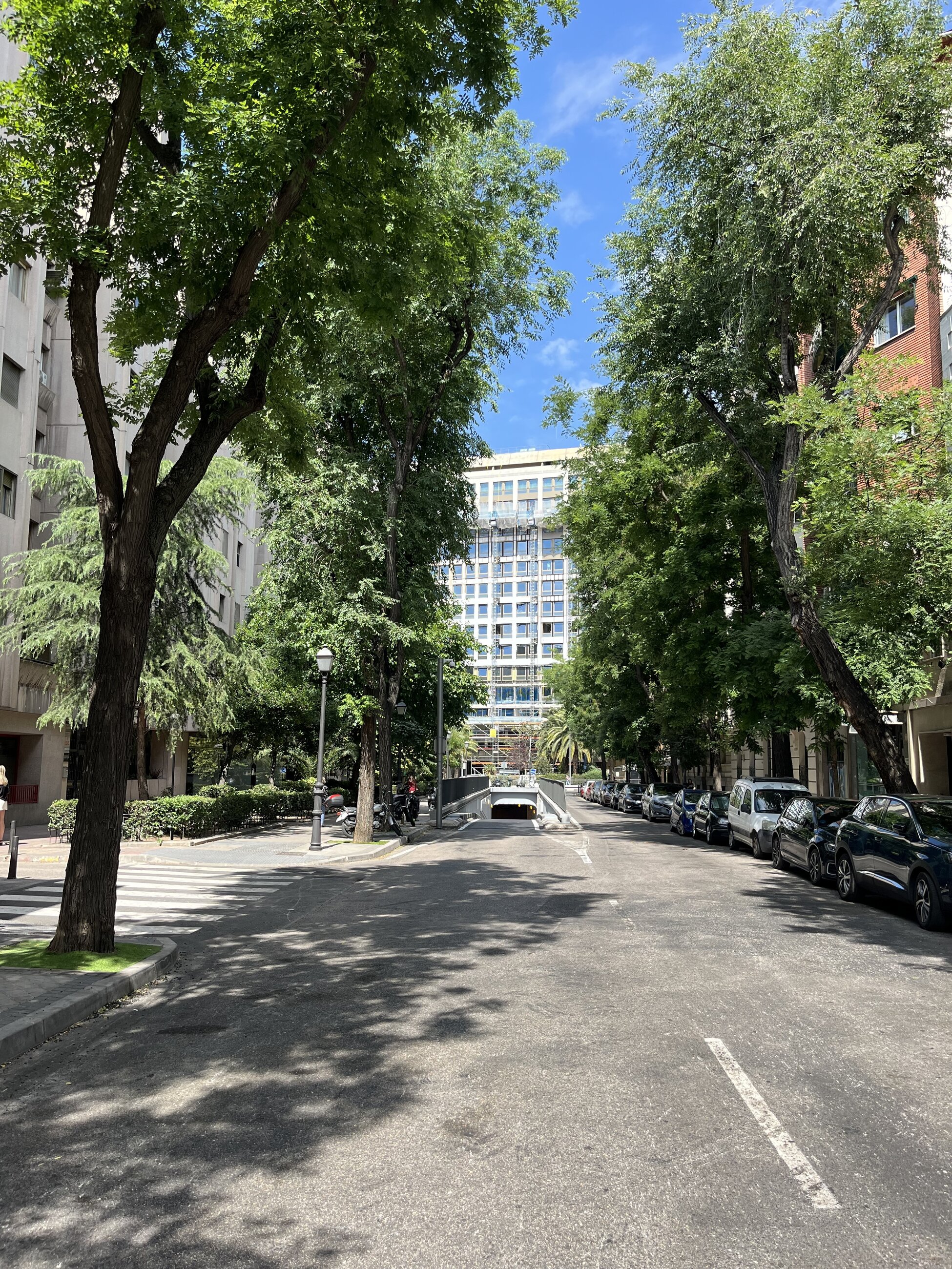 The street Universidad de Nebrija is located on.