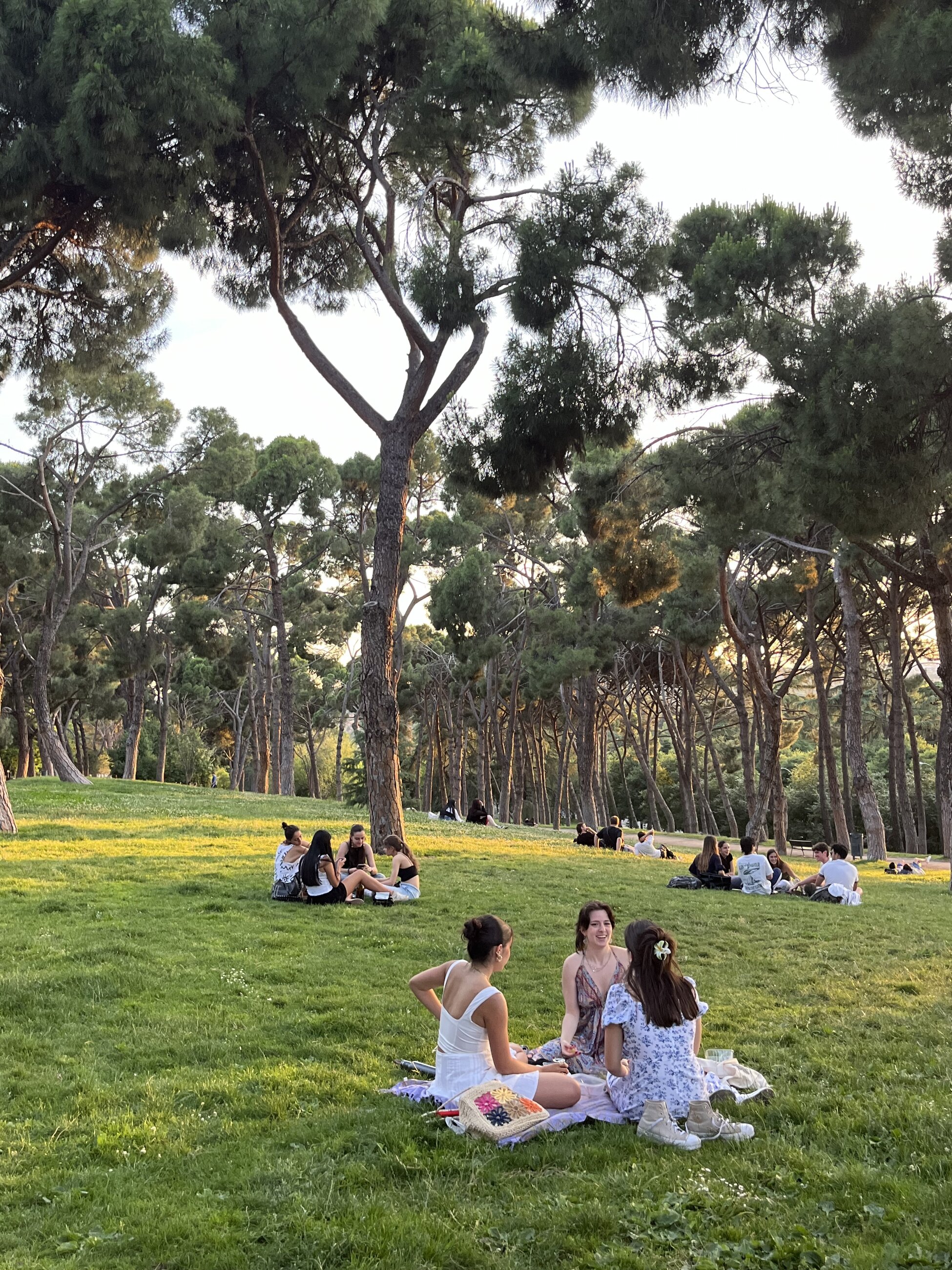 Parque de Oeste