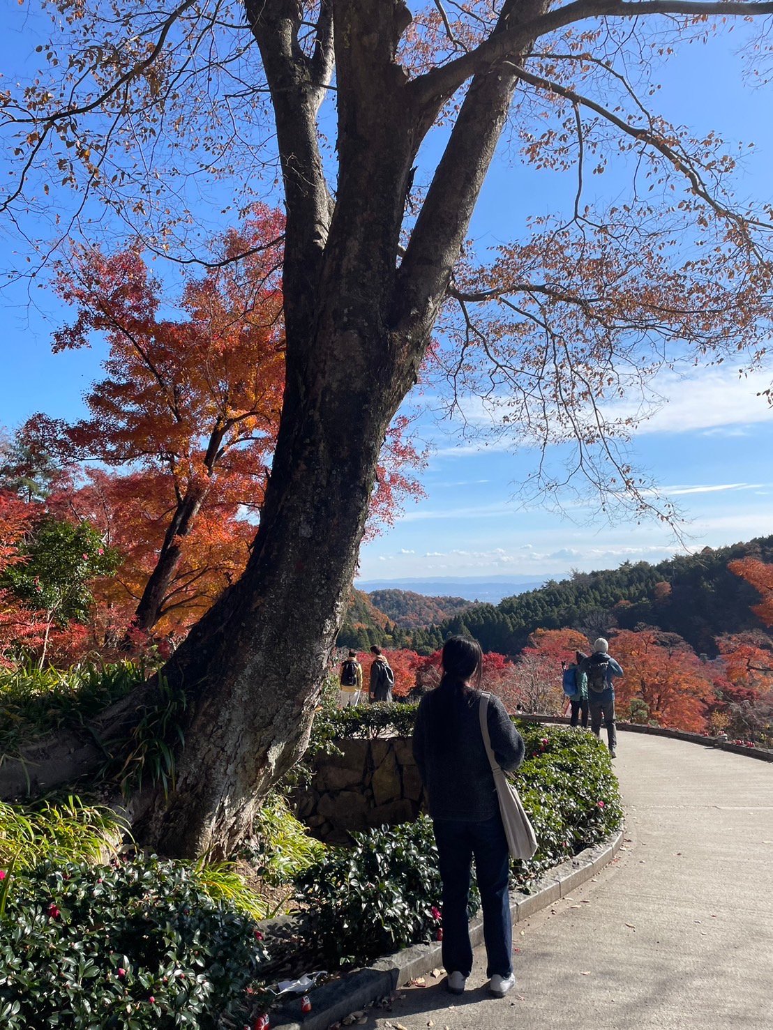 勝尾寺