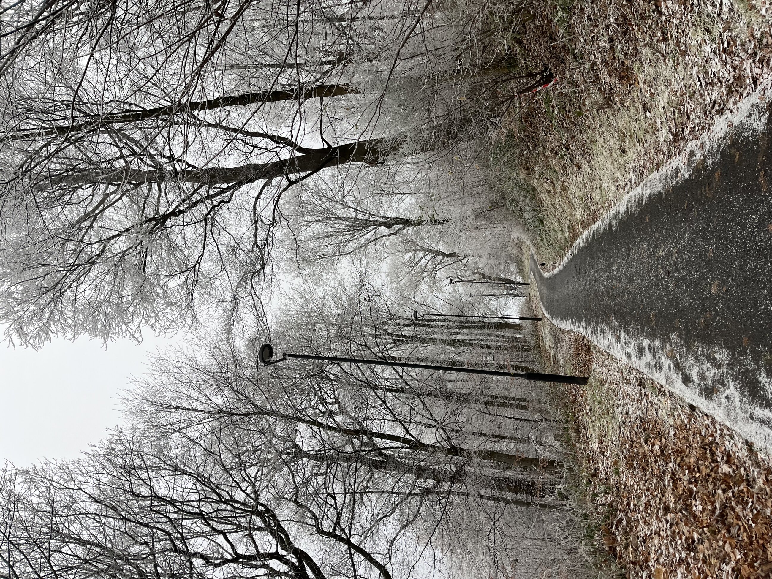 Path to Uni in the Winter