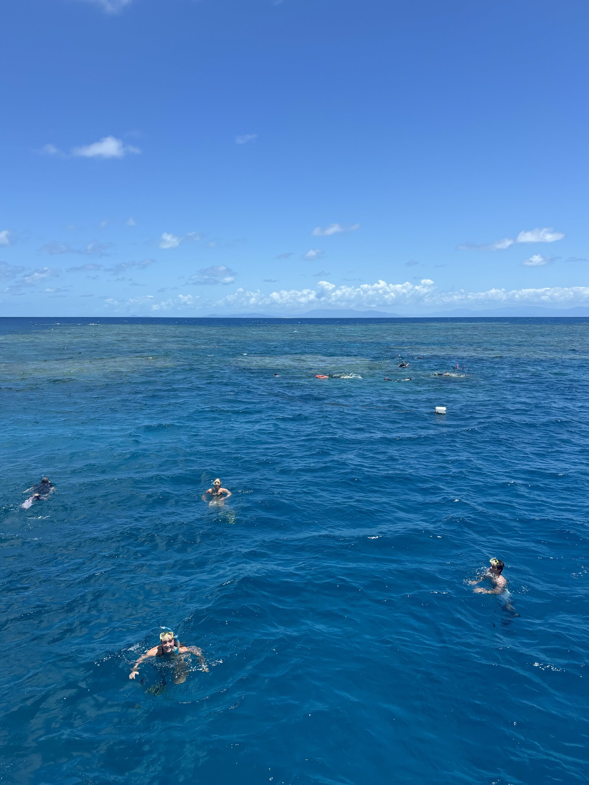Snorkeling in the Great Barrier Reef
