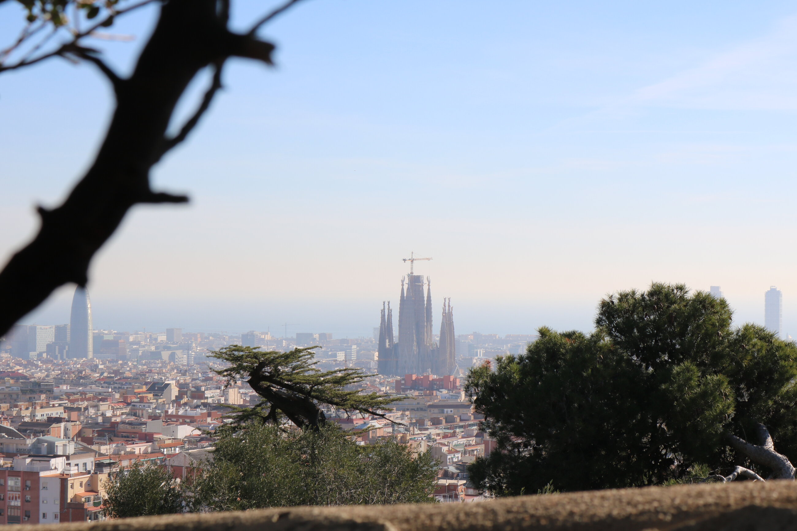 Segrada de Familia from Park Guell