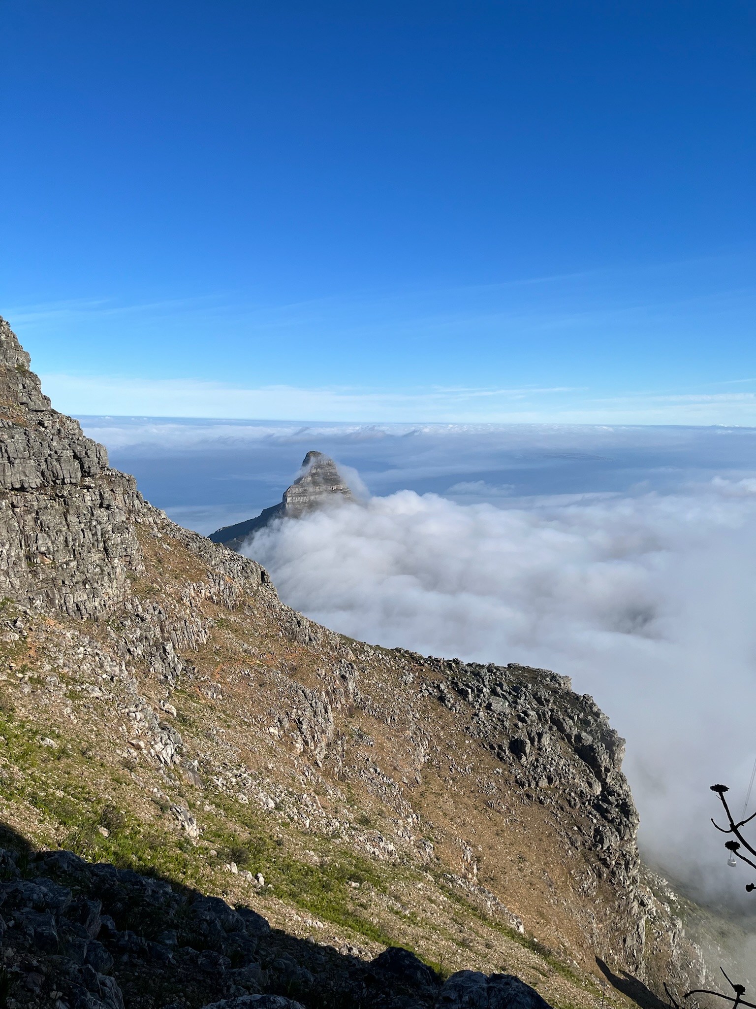 Lions Head