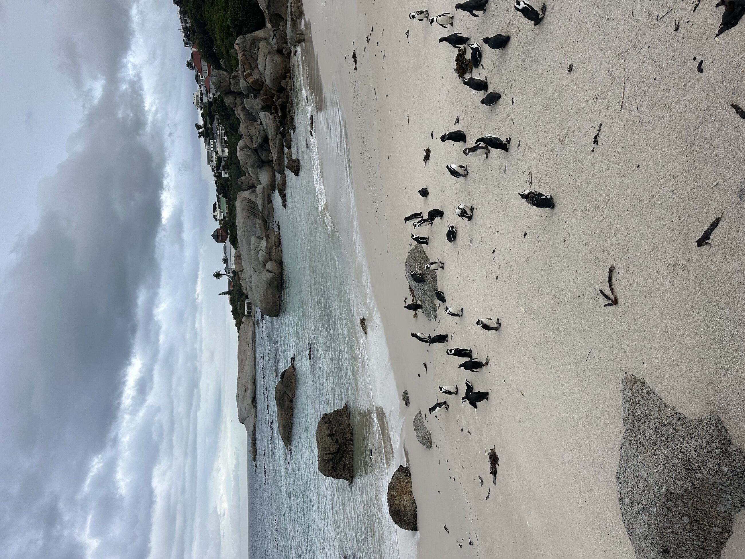 Boulders Beach